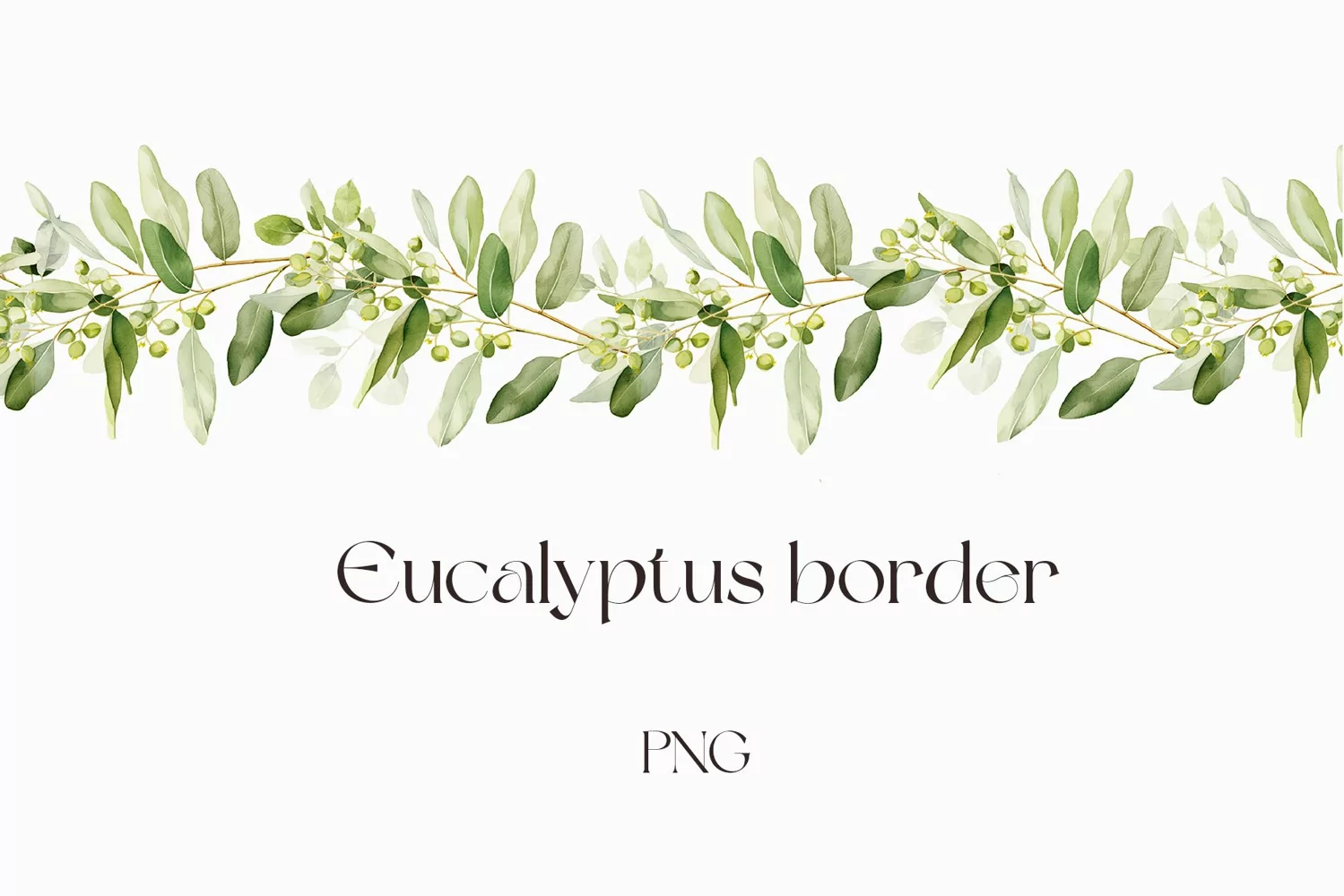 Watercolor eucalyptus border clipart