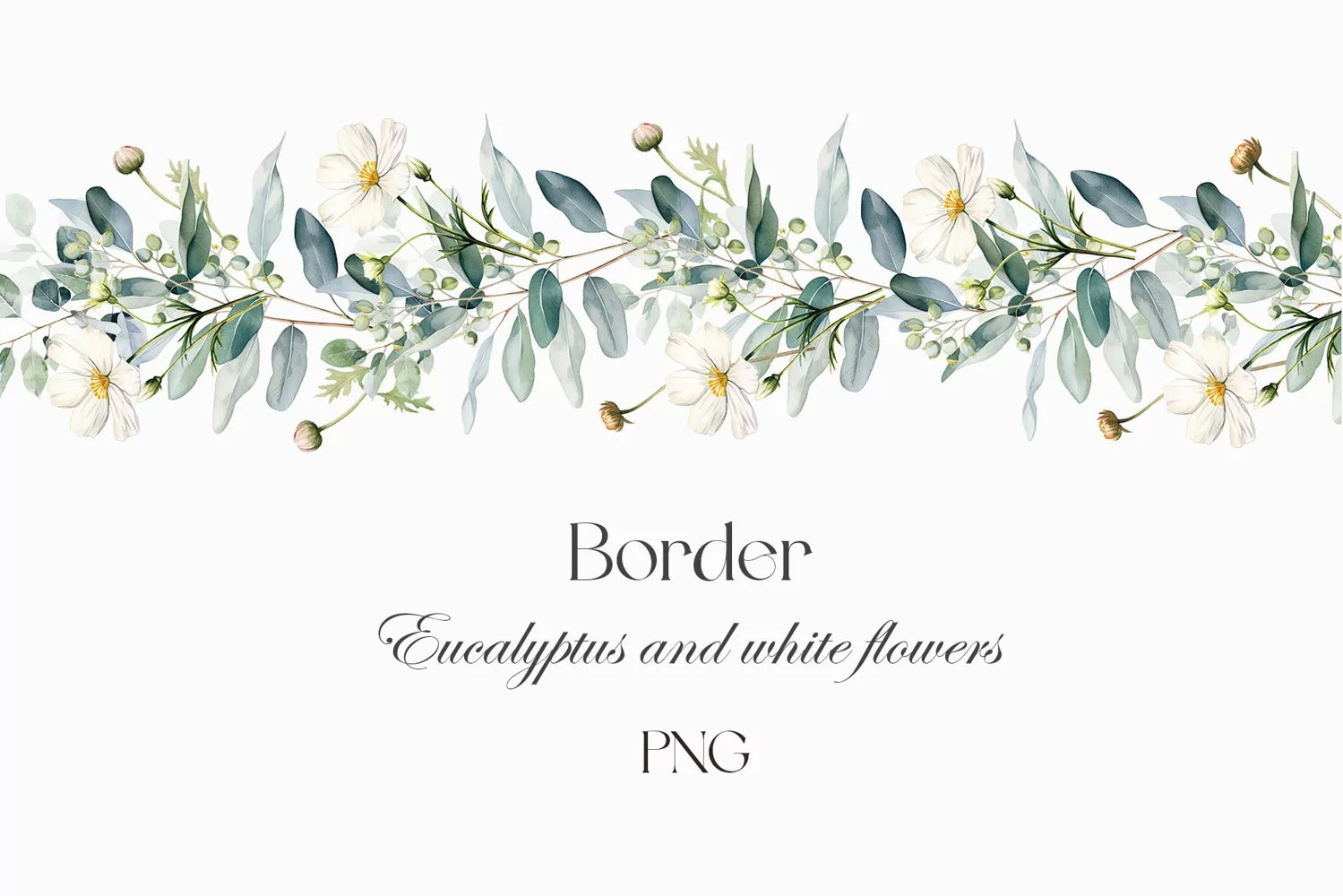 Watercolor eucalyptus border clipart