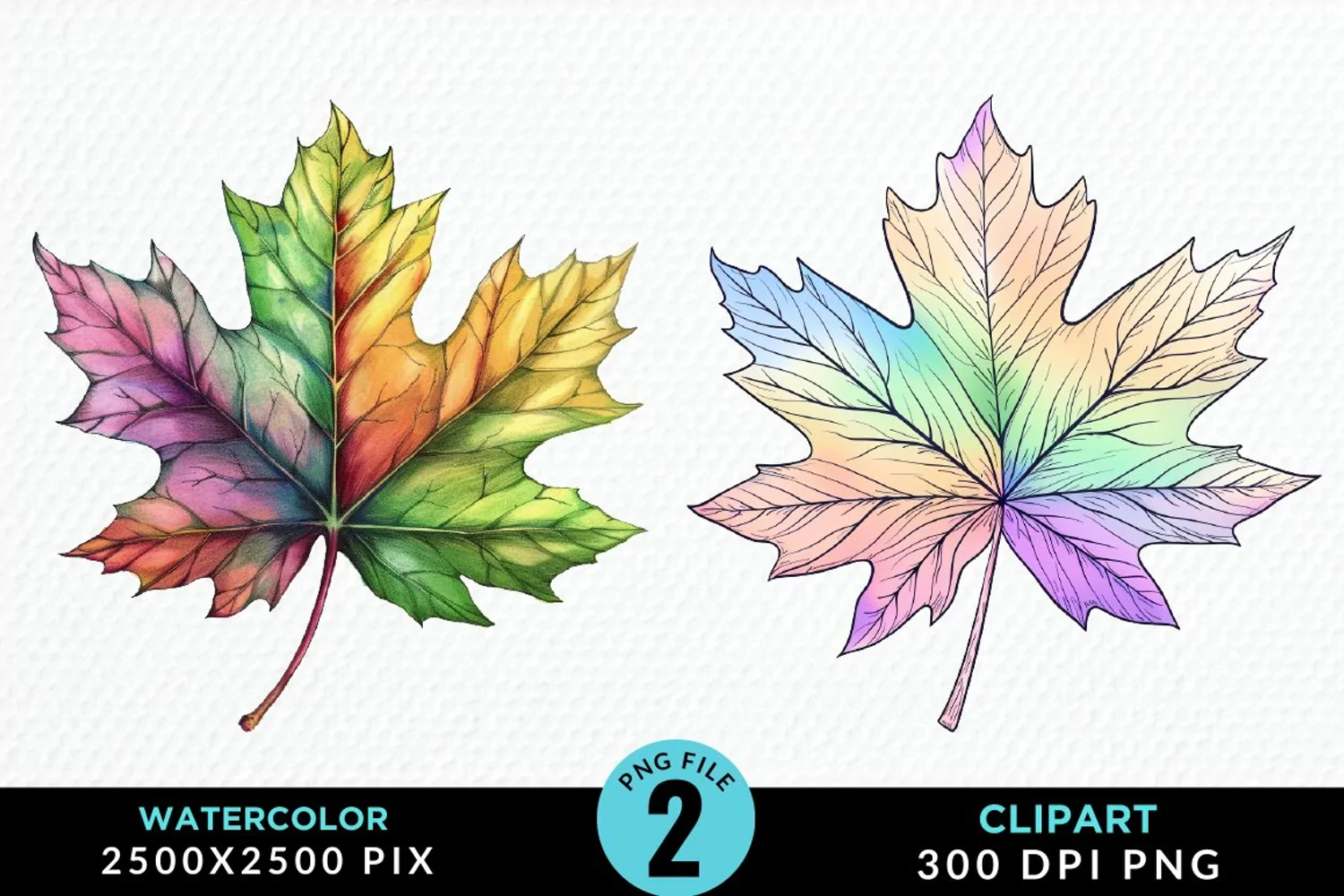 Watercolor Fall Leaves Design Clipart product image 1