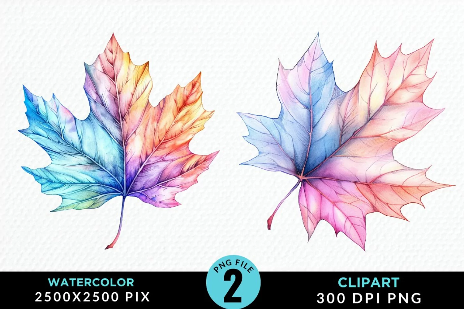 Watercolor Fall Leaves Design Clipart product image 1