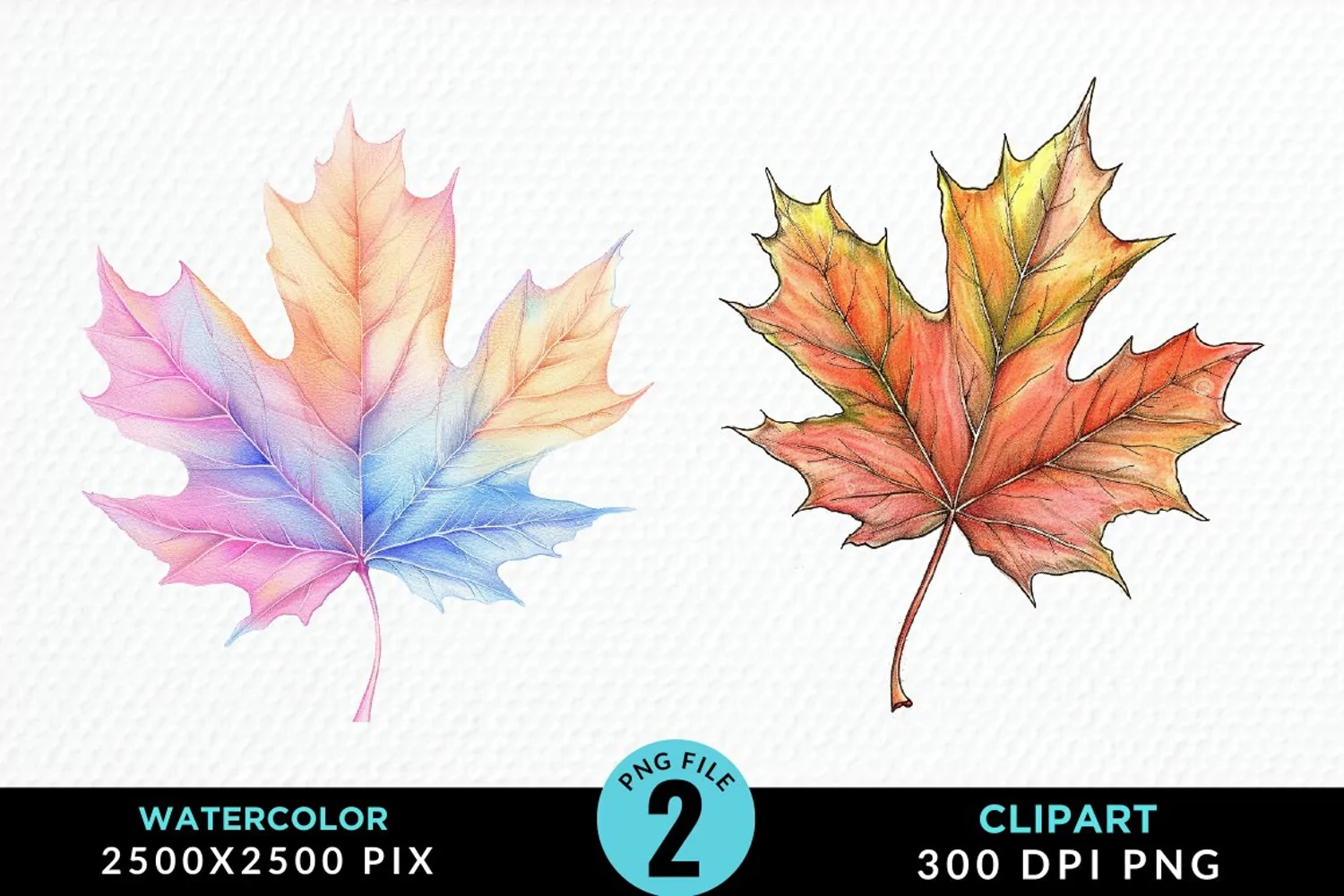Watercolor Fall Leaves PNG Clipart product image 1