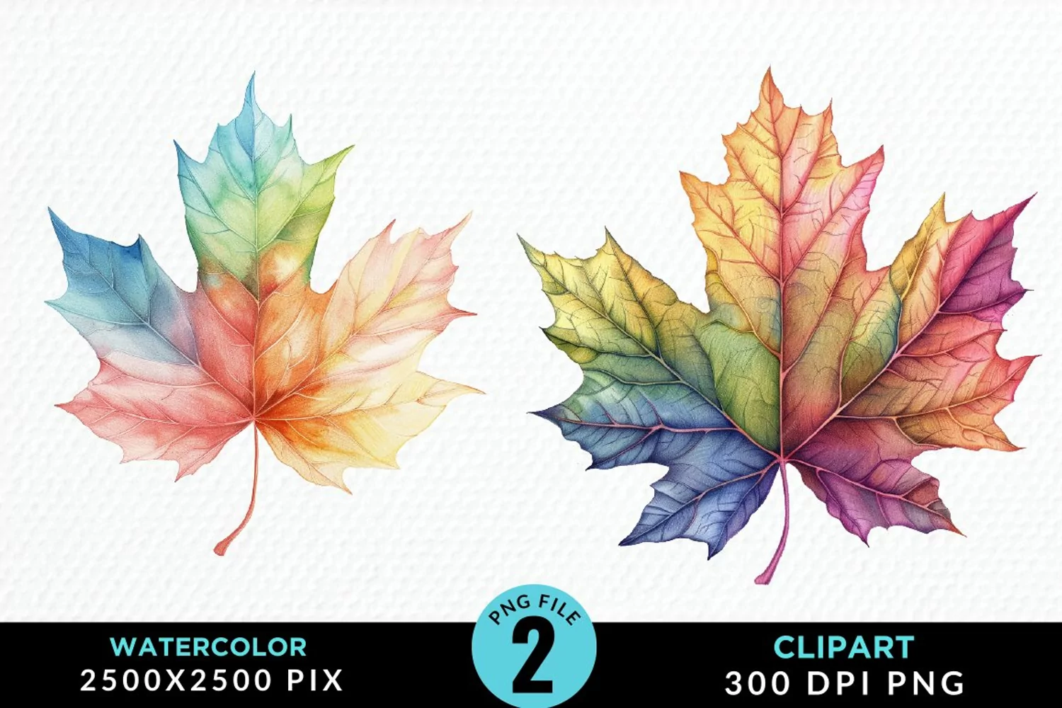 Watercolor Fall Leaves Design Clipart product image 1