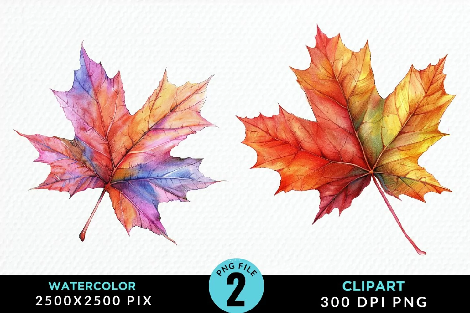 Watercolor Fall Leaves Design Clipart product image 1