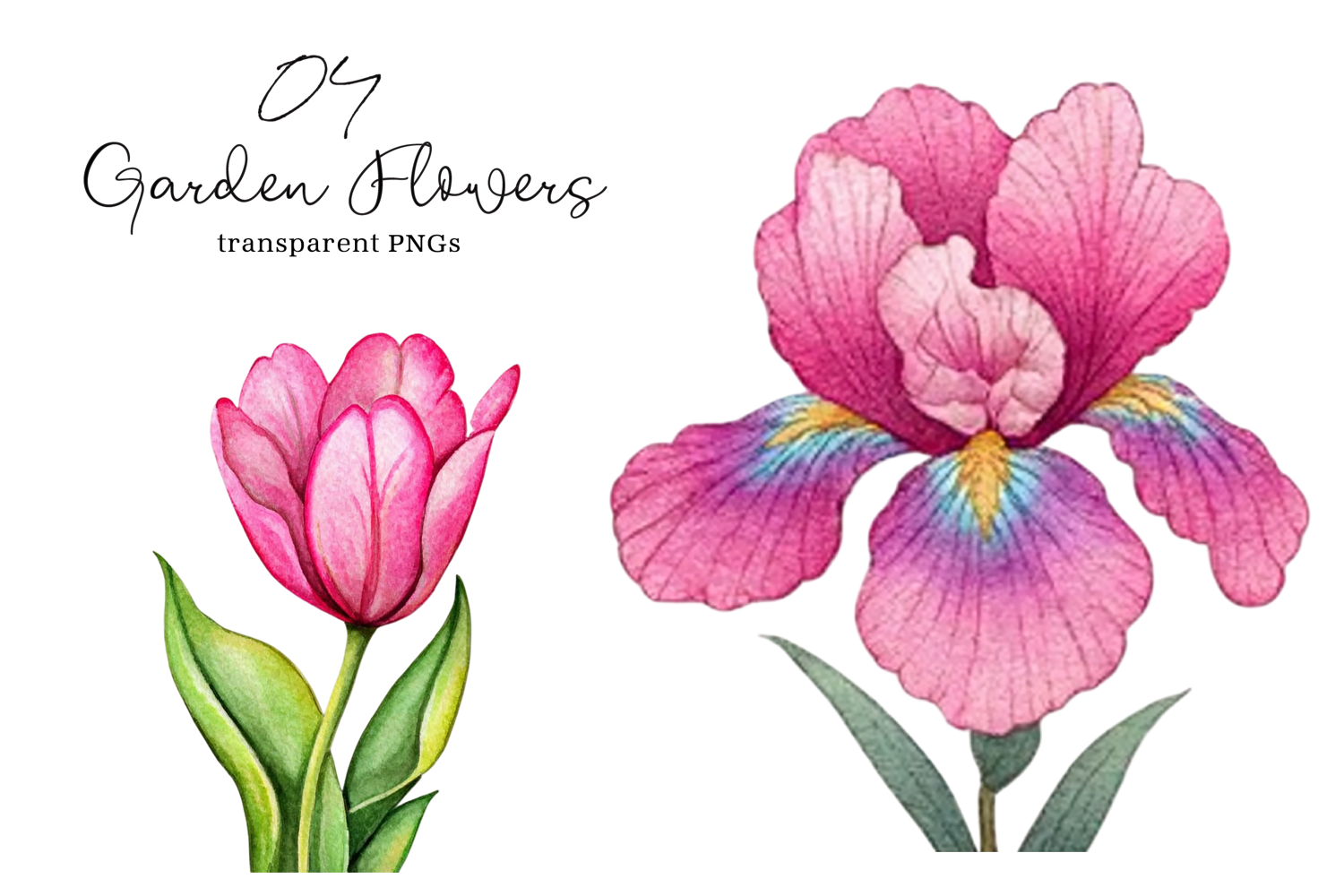 Watercolor Garden Flowers Clipart product image 1