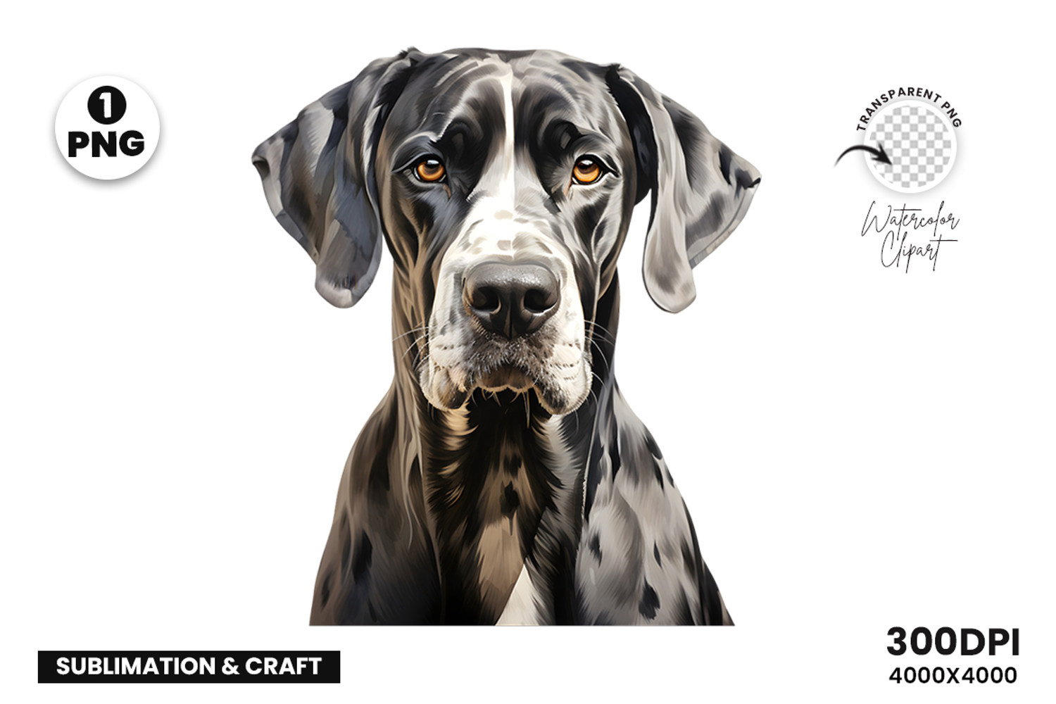 watercolor great dane clipart, great dane png, dog clipart watercolor, great dane sublimation design, gentle giant dog art, great dane printable png, pet lover sublimation, cute great dane clipart, great dane digital art, large dog breed design