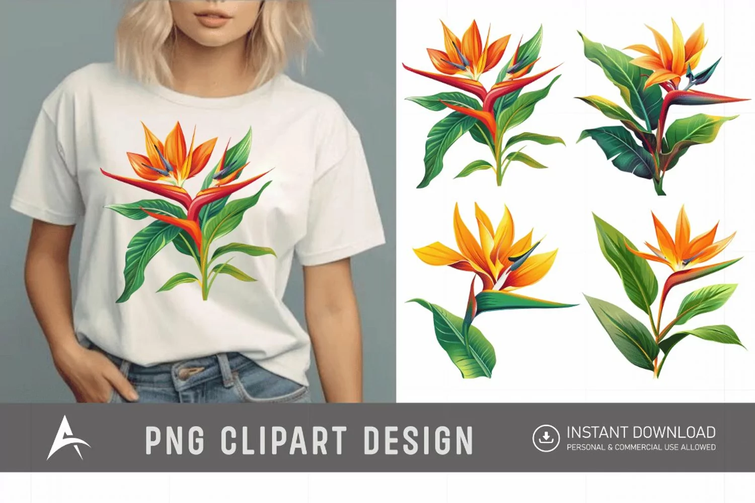 Watercolor Heliconia Flower Plant Clipart product image 1