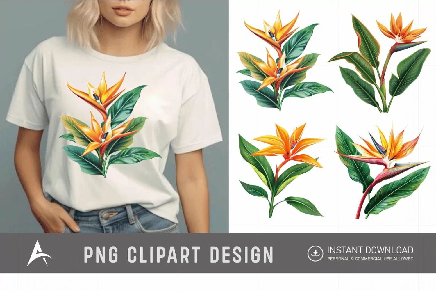 Watercolor Heliconia Flower Plant Clipart product image 1