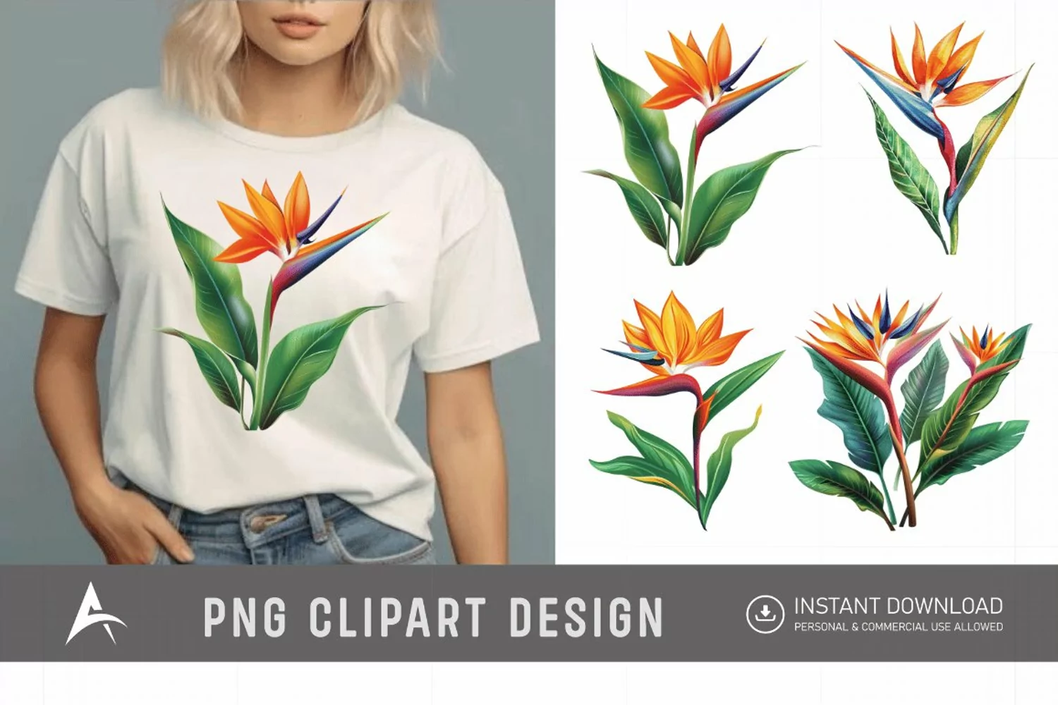 Watercolor Heliconia Flower Plant Clipart product image 1