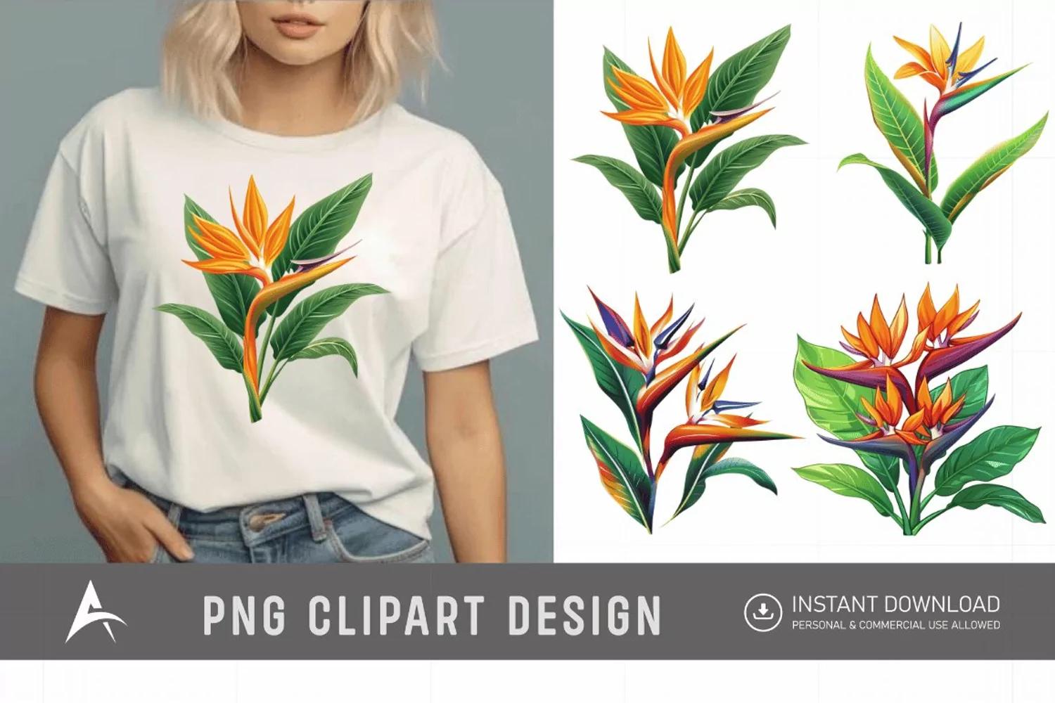 Watercolor Heliconia Flower Plant Clipart product image 1