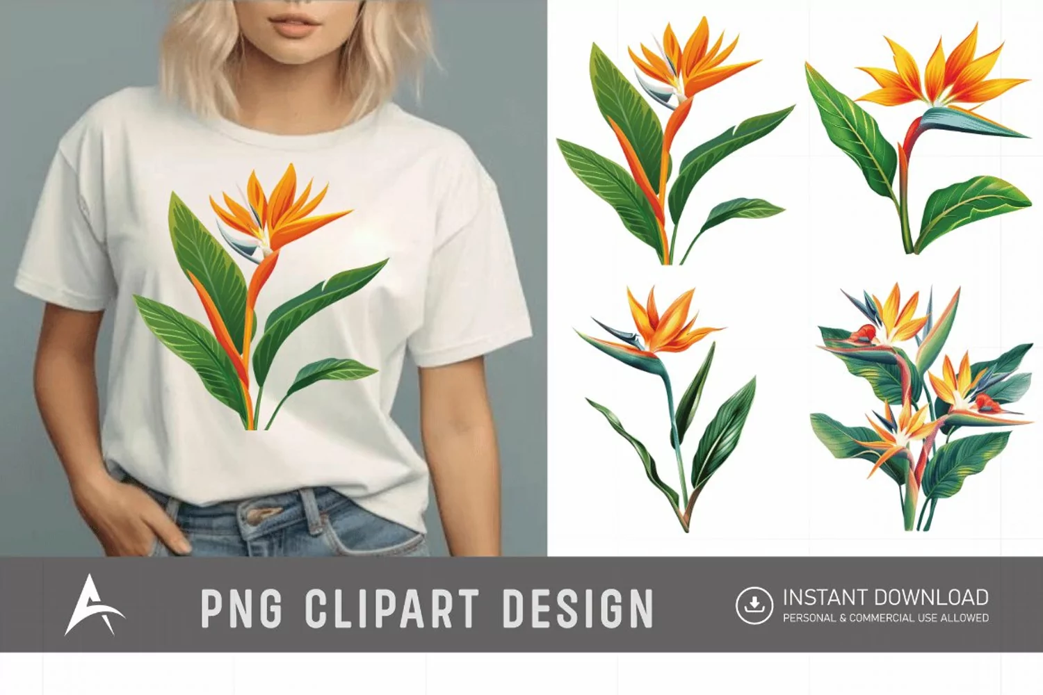 Watercolor Heliconia Flower Plant Clipart product image 1