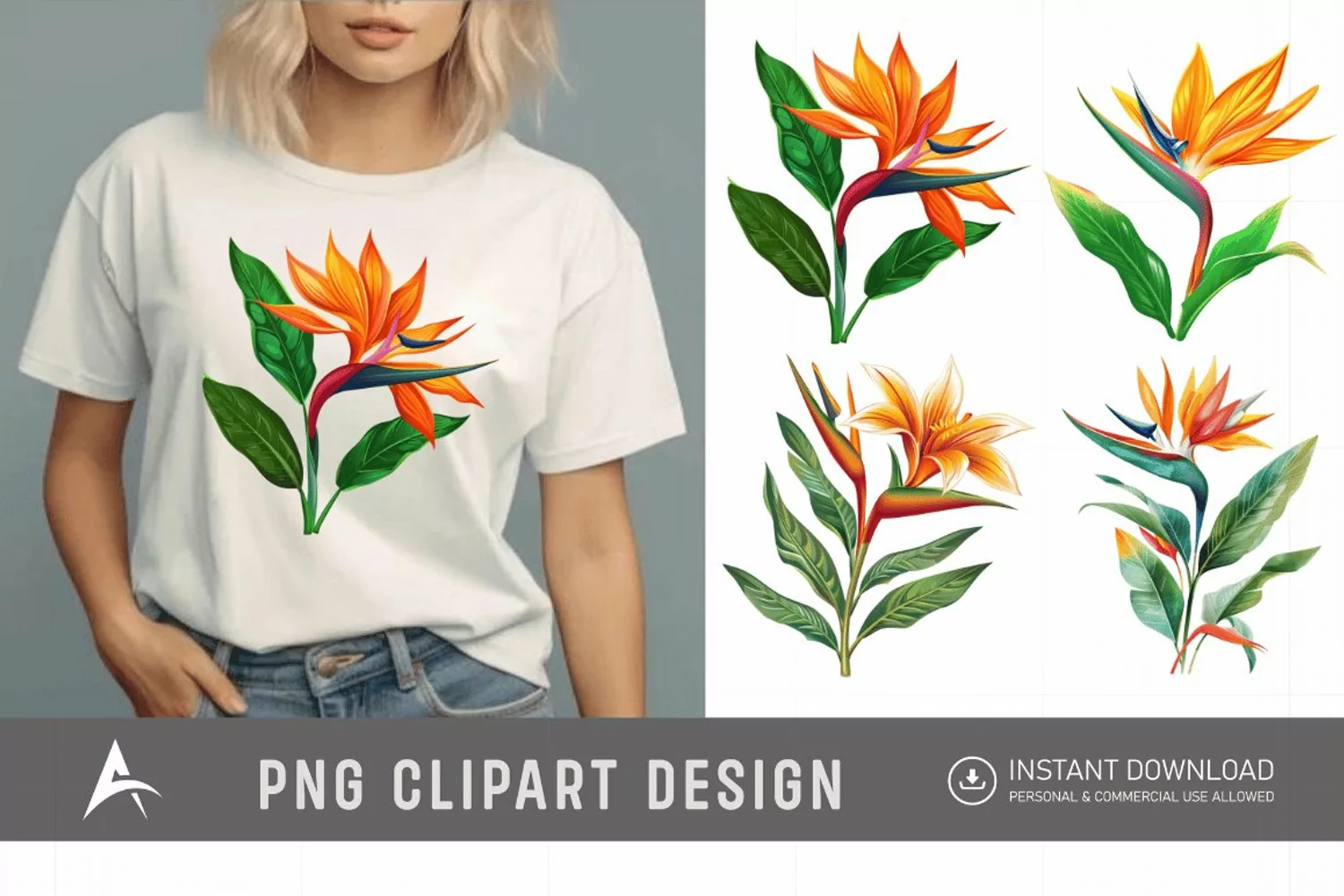 Watercolor Heliconia Flower Plant Clipart product image 1