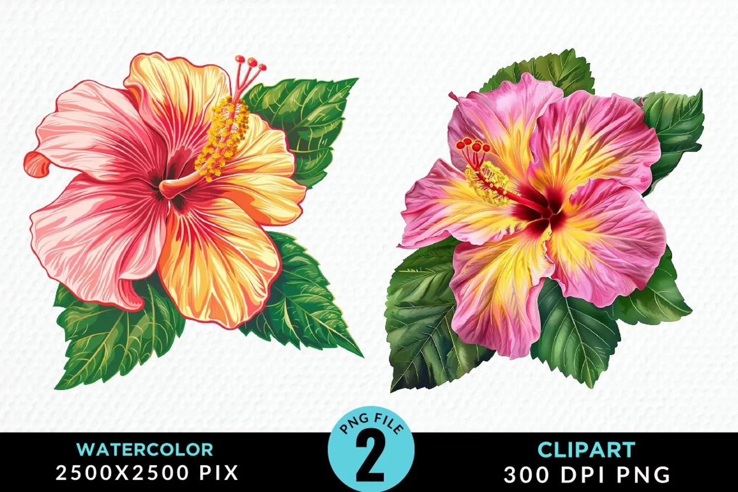 Watercolor Hibiscus Flowers Artwork Clipart product image 1