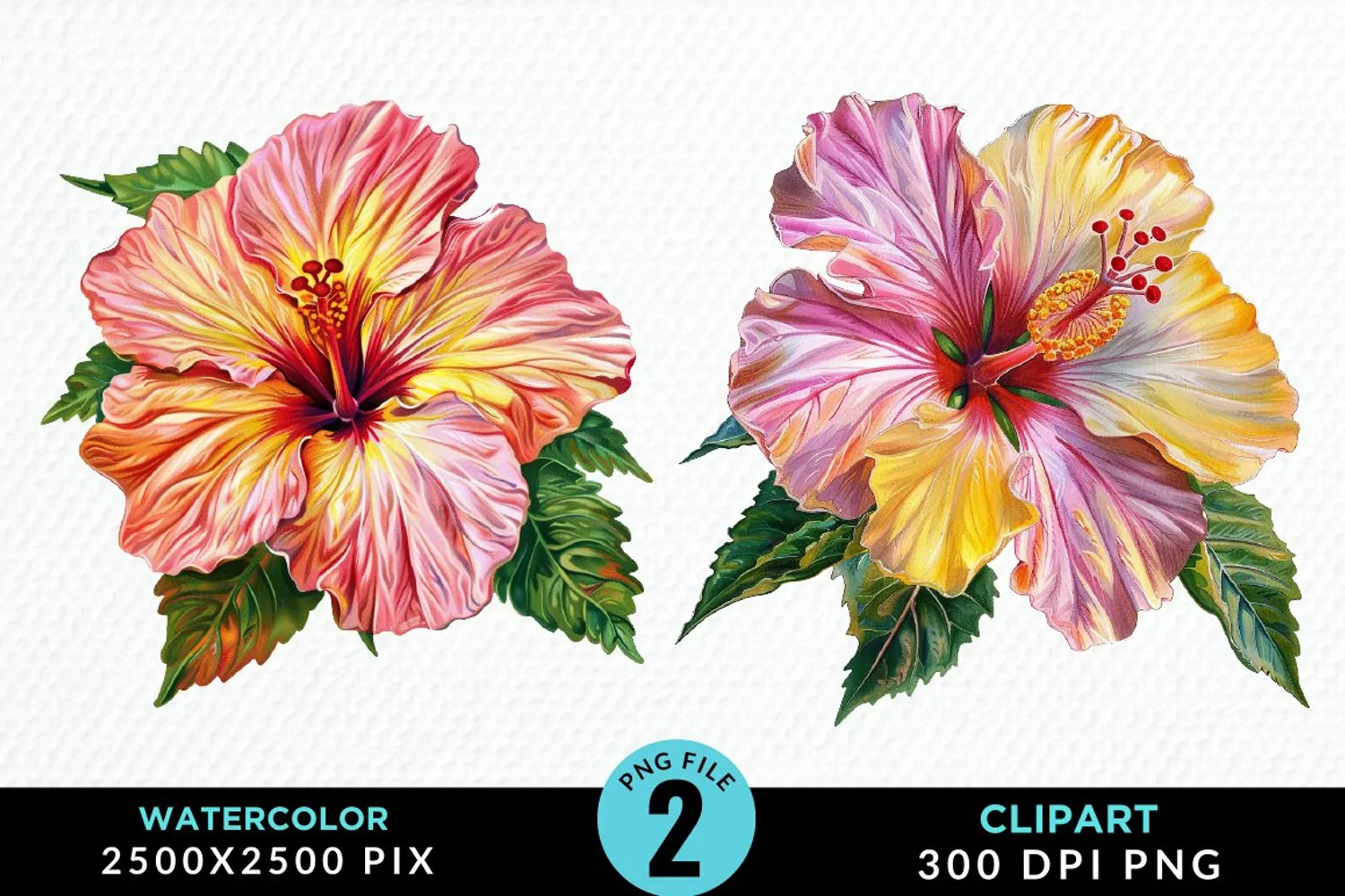 Watercolor Hibiscus Flowers Exquisite Clipart product image 1