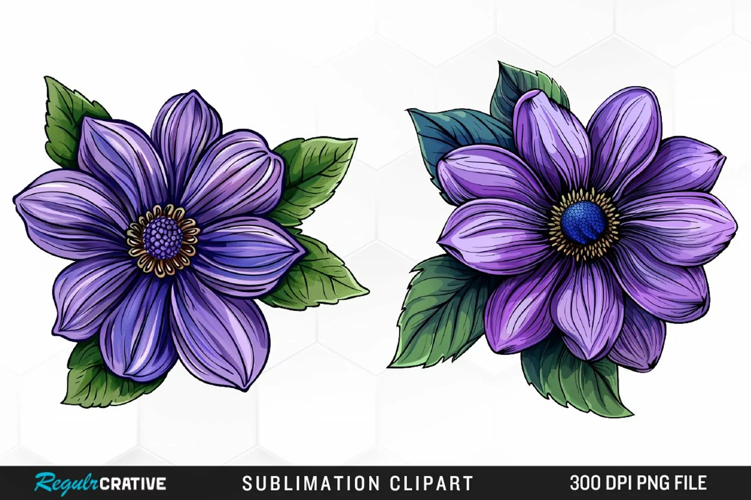 Watercolor Hibiscus Flowers Graphics Clipart product image 1