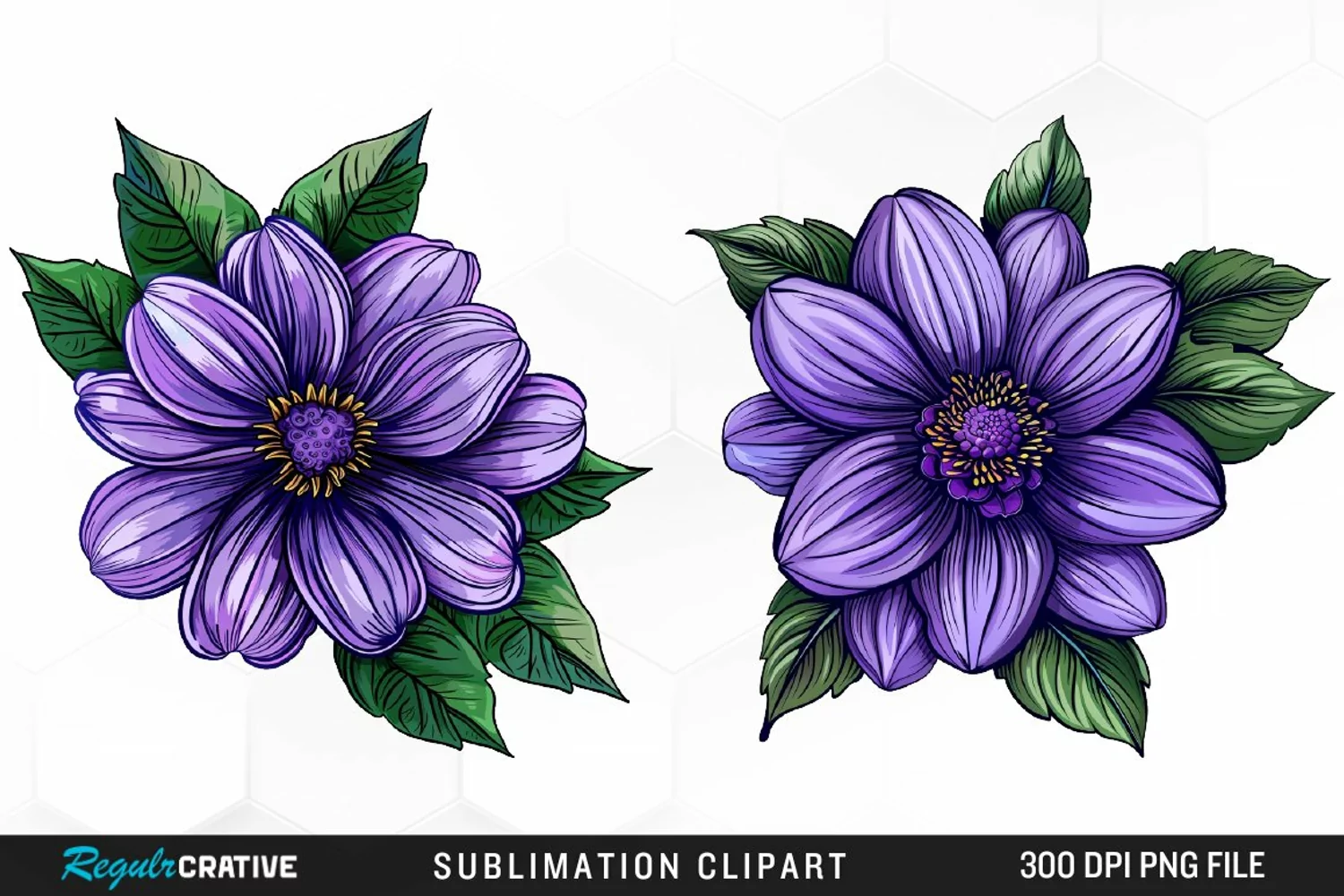 Watercolor Hibiscus Flowers Artwork Clipart product image 1
