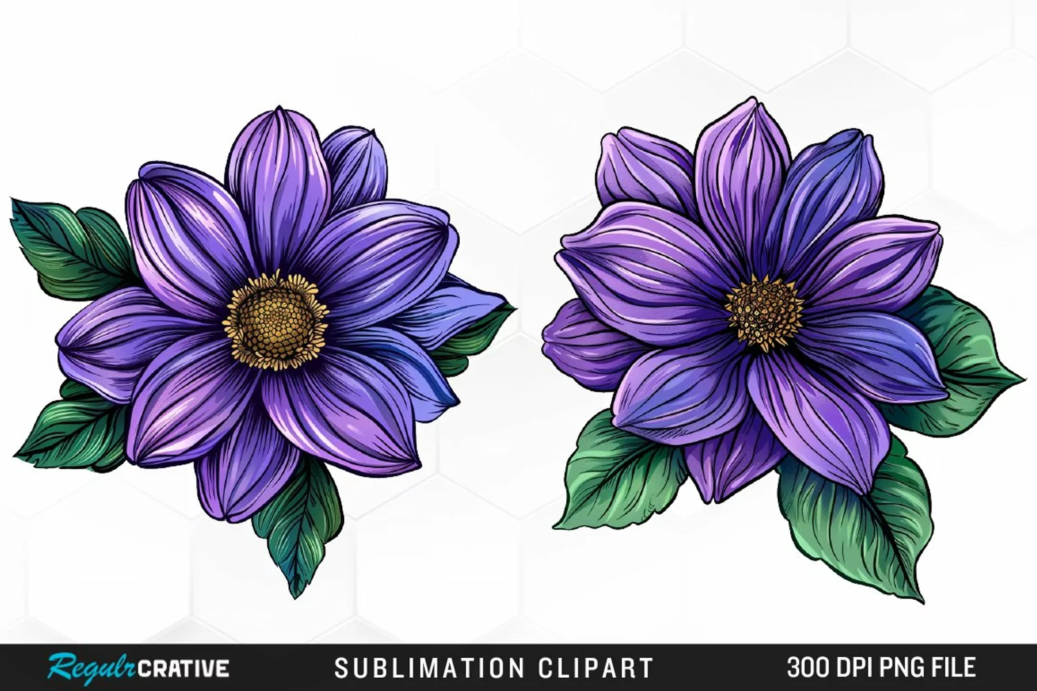 Watercolor Hibiscus Flowers Graphics Clipart product image 1