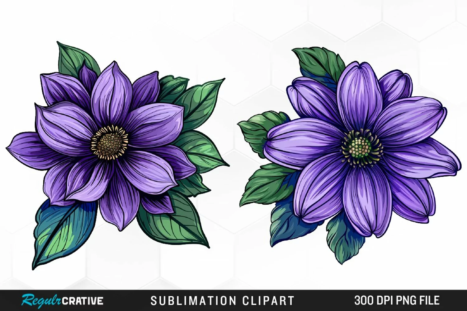 Watercolor Hibiscus Flowers Artwork Clipart product image 1