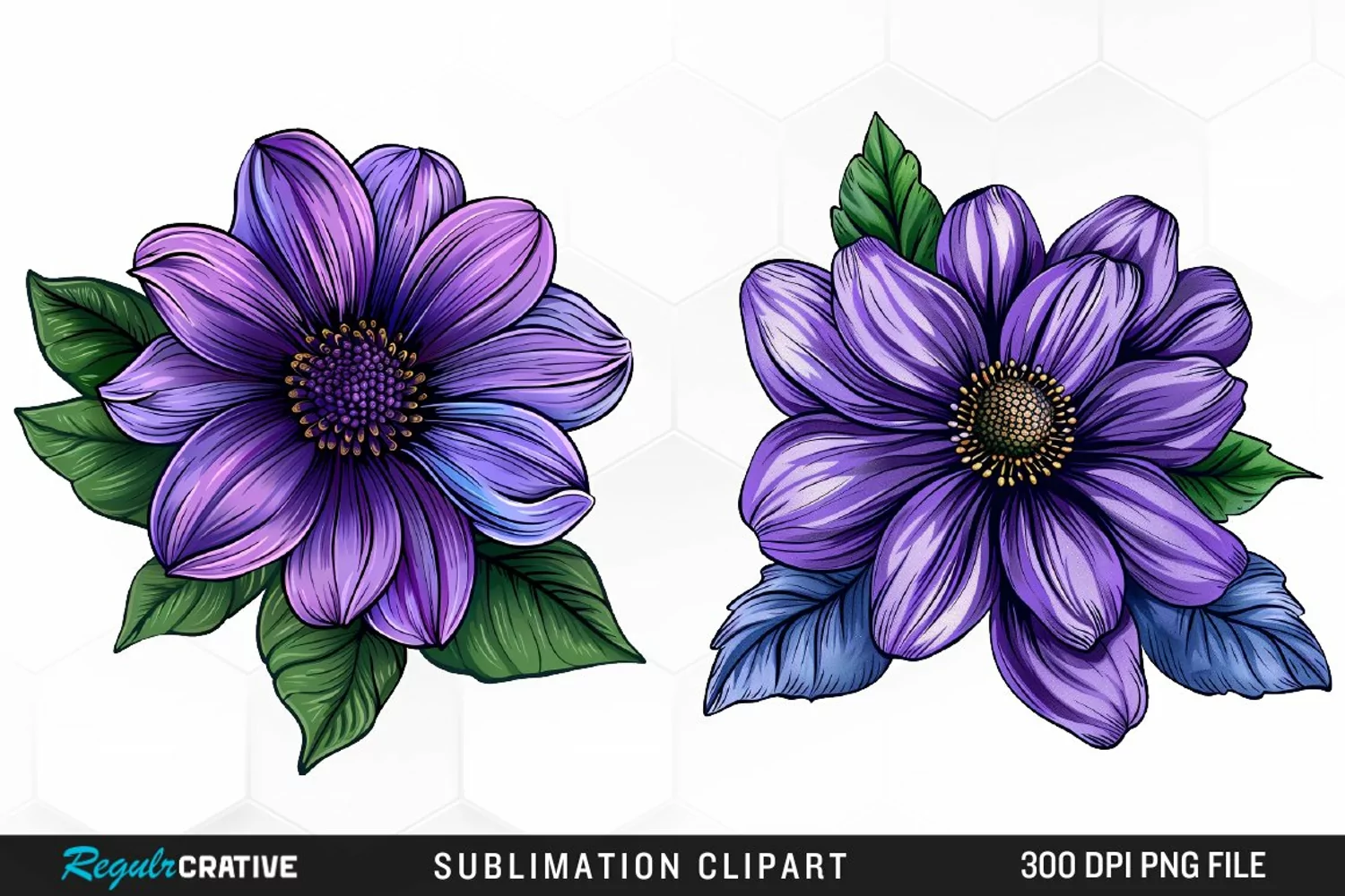 Watercolor Hibiscus Flowers Graphics Clipart product image 1