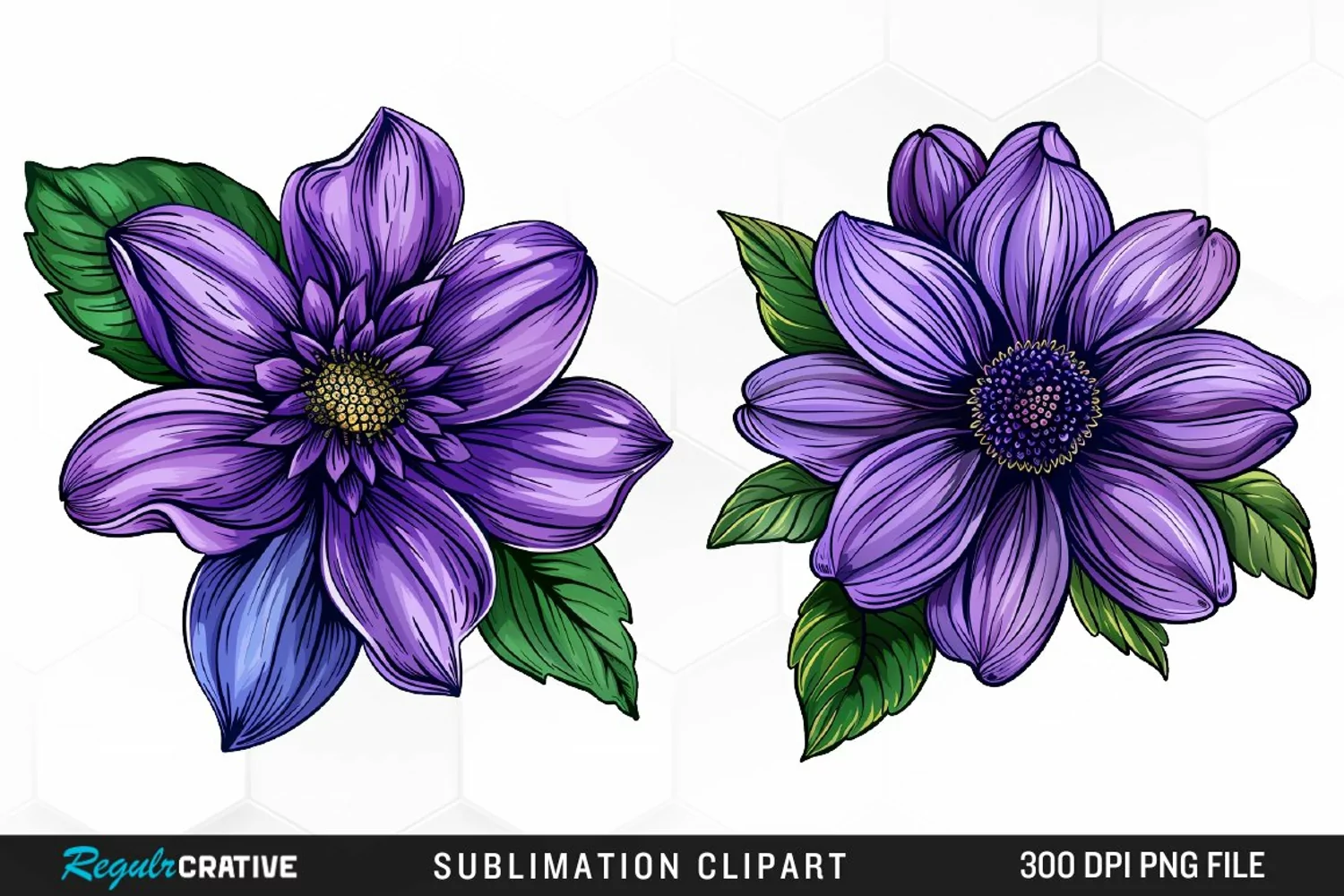 Watercolor Hibiscus Flowers Graphics Clipart product image 1