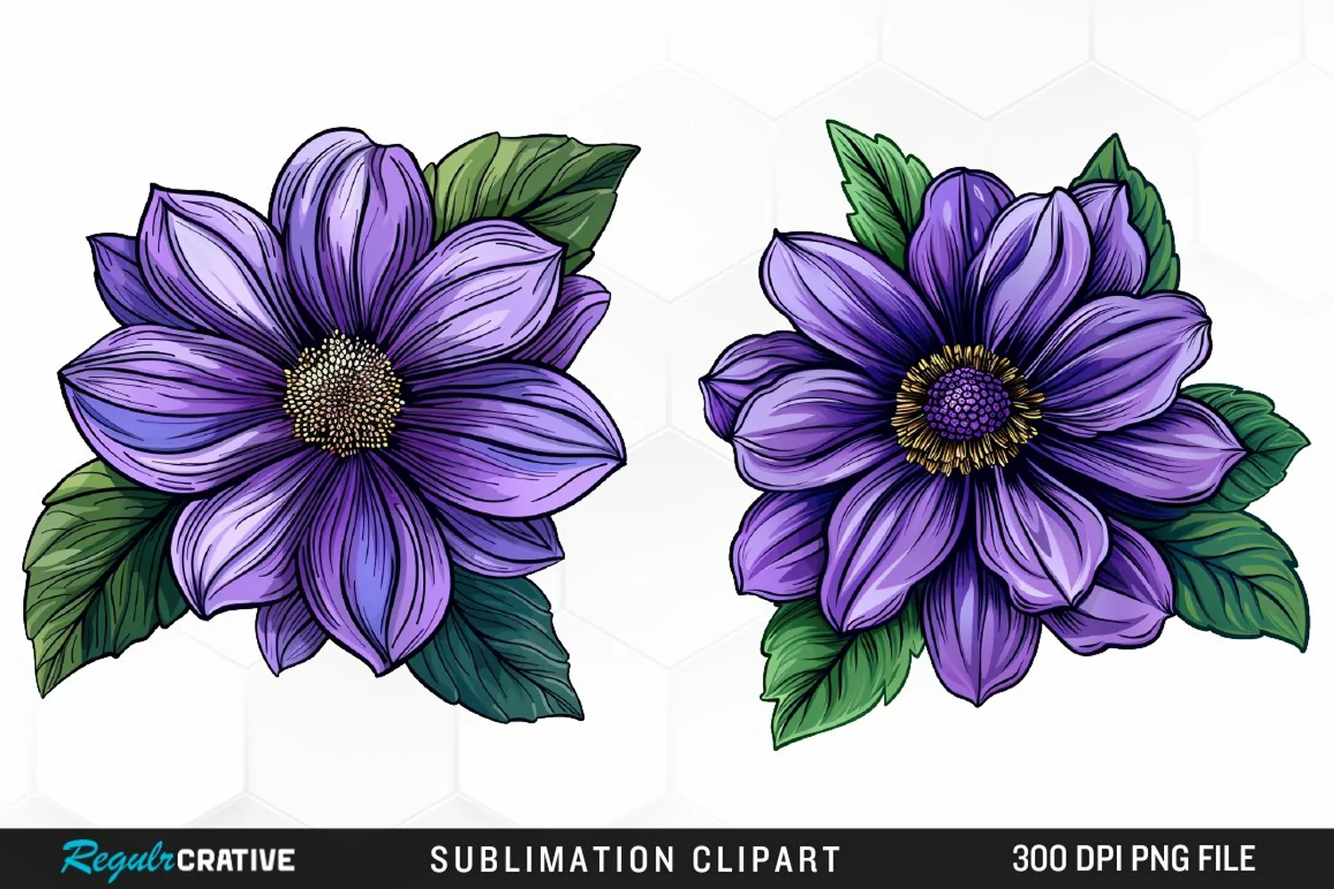 Watercolor Hibiscus Flowers Graphics Clipart product image 1