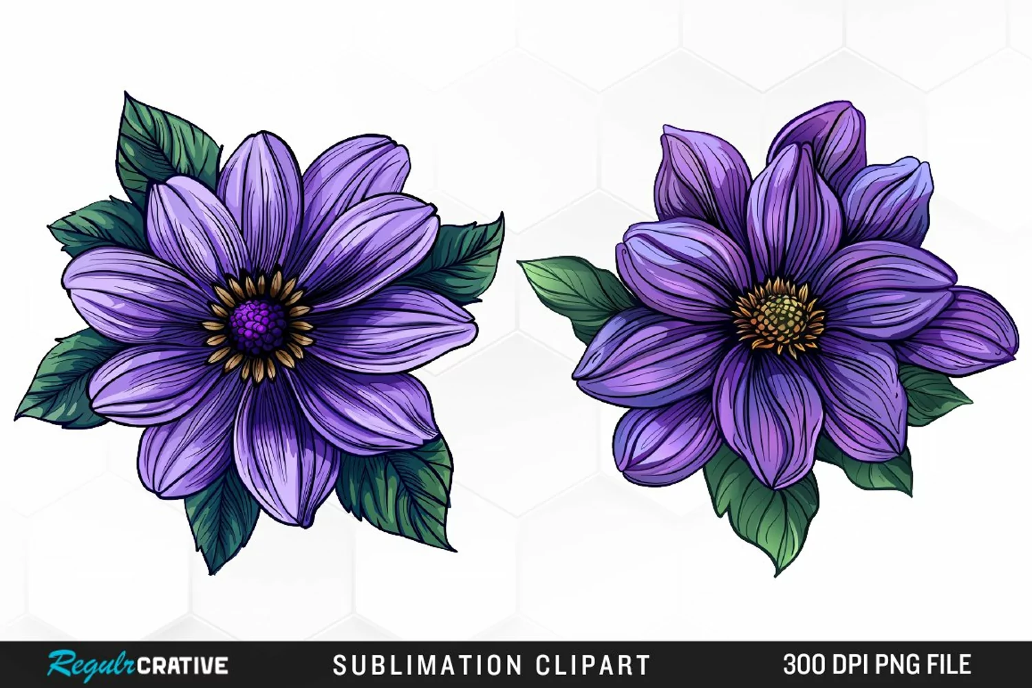 Watercolor Hibiscus Flowers Graphics Clipart product image 1