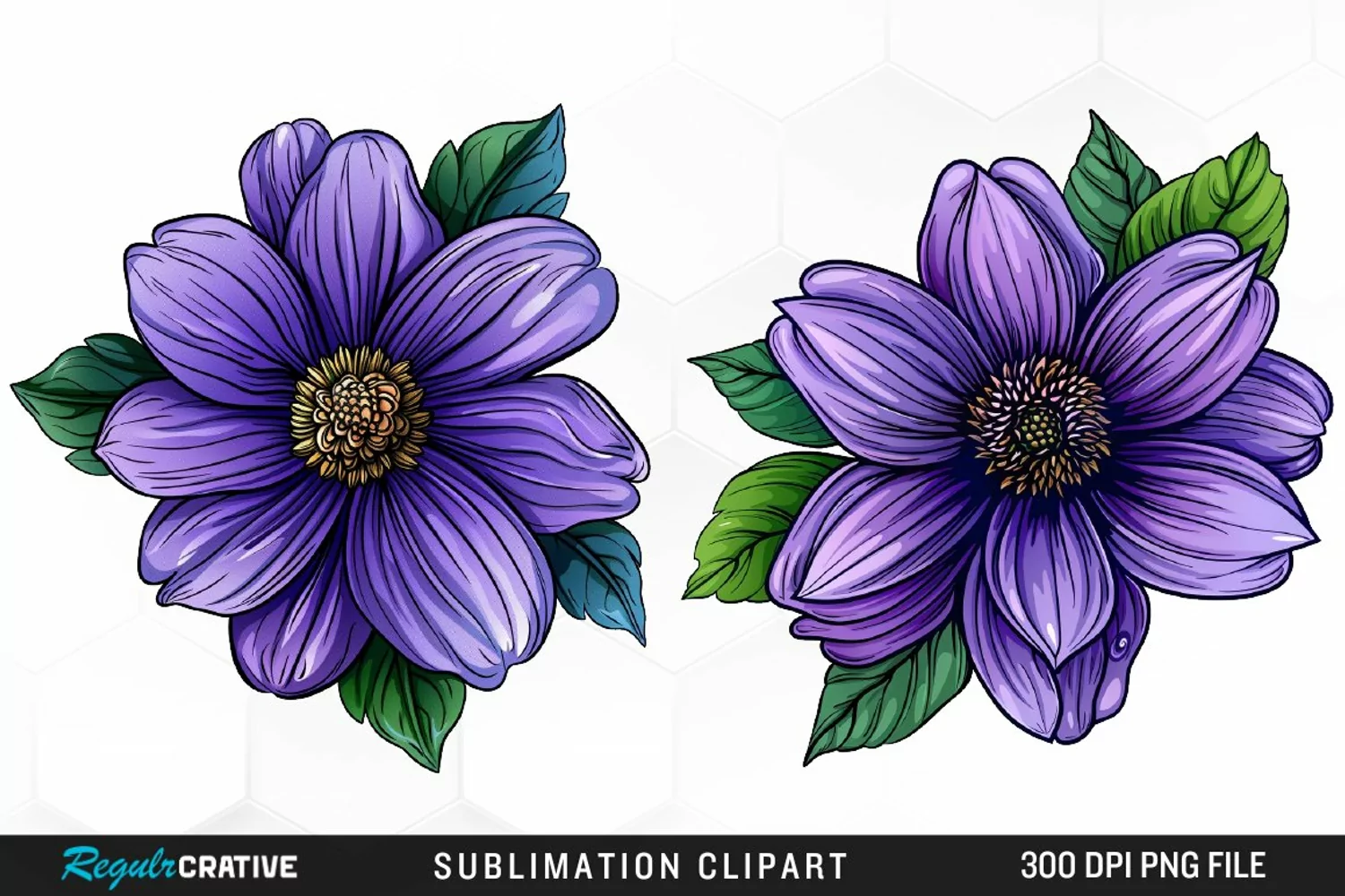 Watercolor Hibiscus Flowers Graphics Clipart product image 1