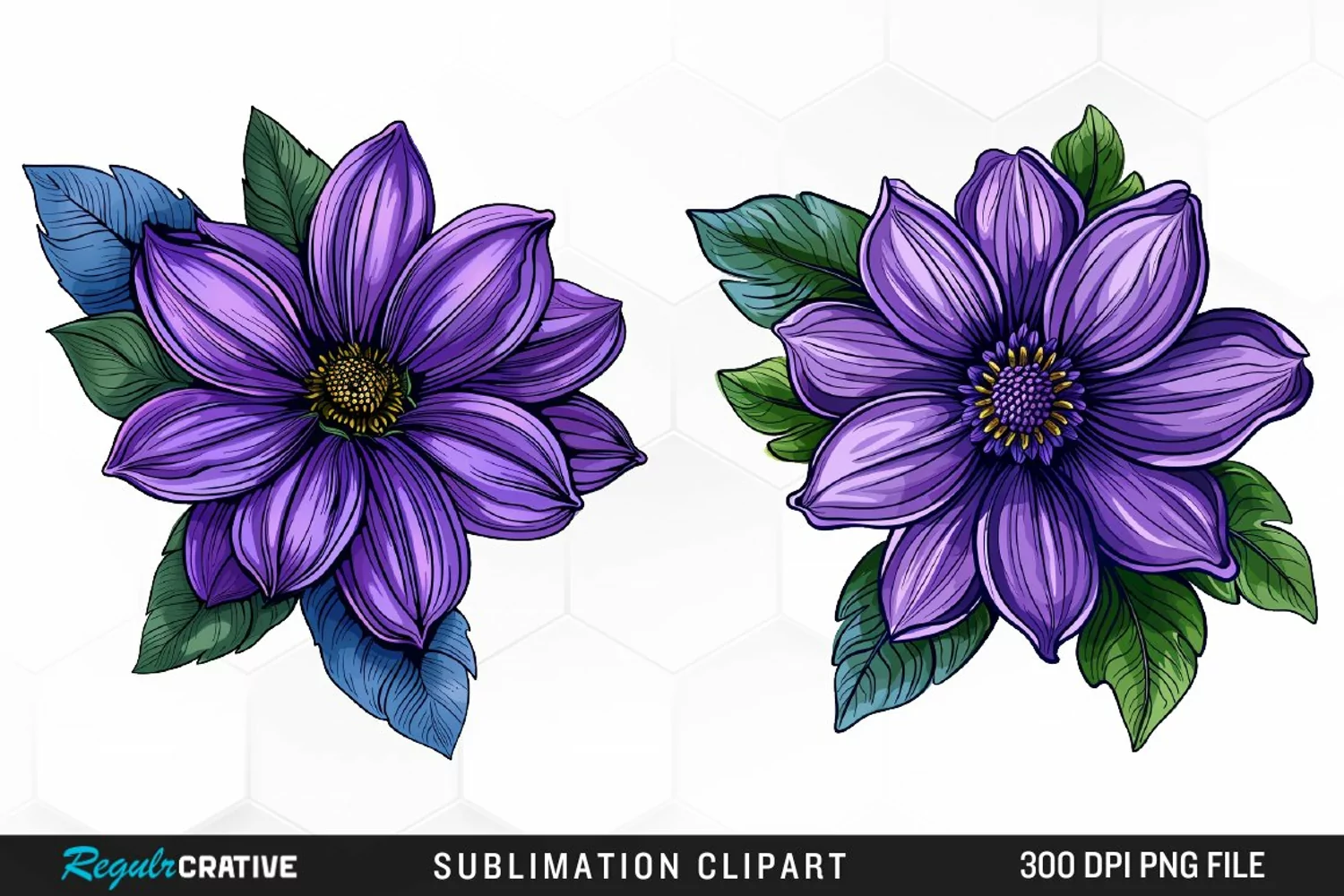 Watercolor Hibiscus Flowers Graphics Clipart product image 1