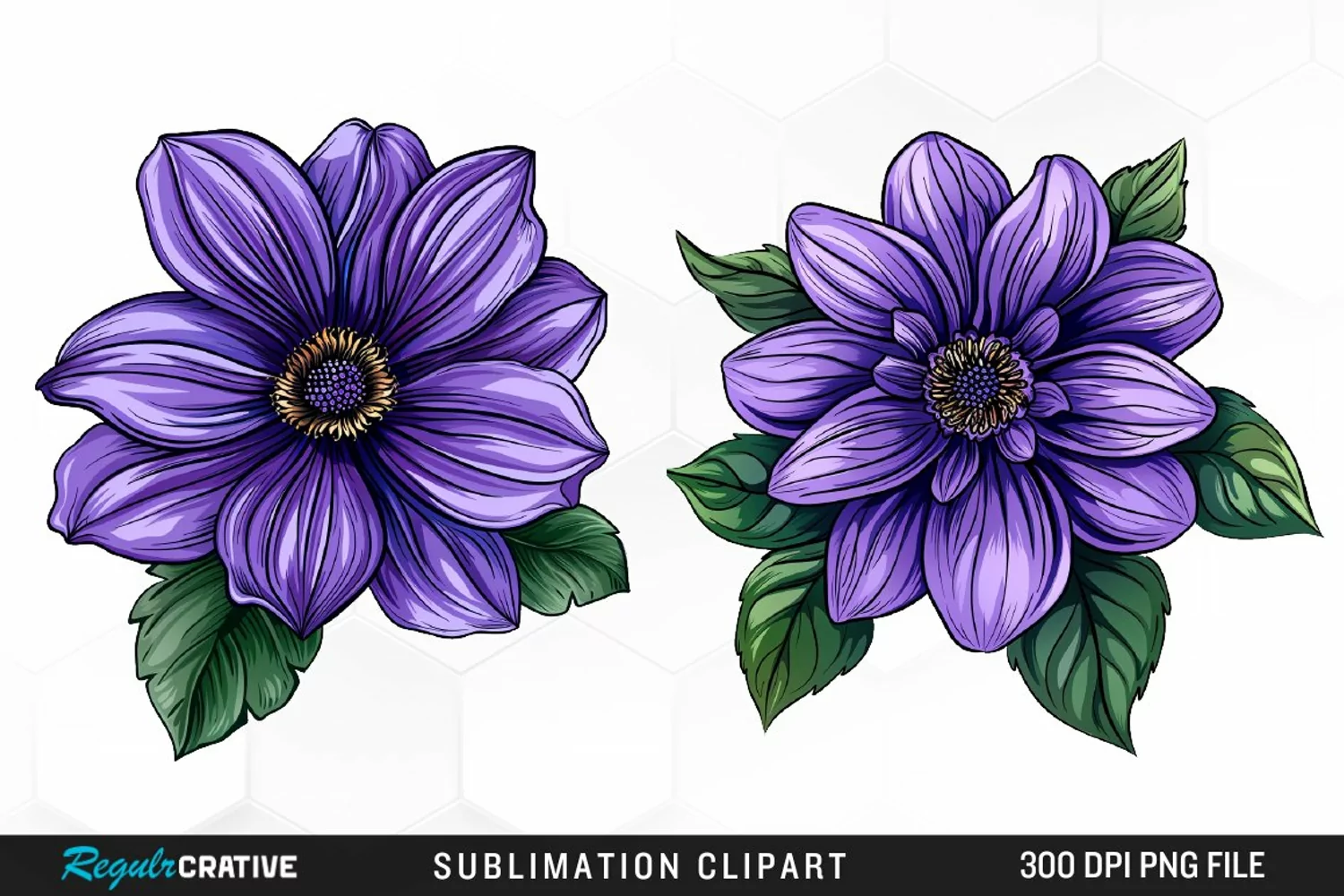 Watercolor Hibiscus Flowers Graphics Clipart product image 1