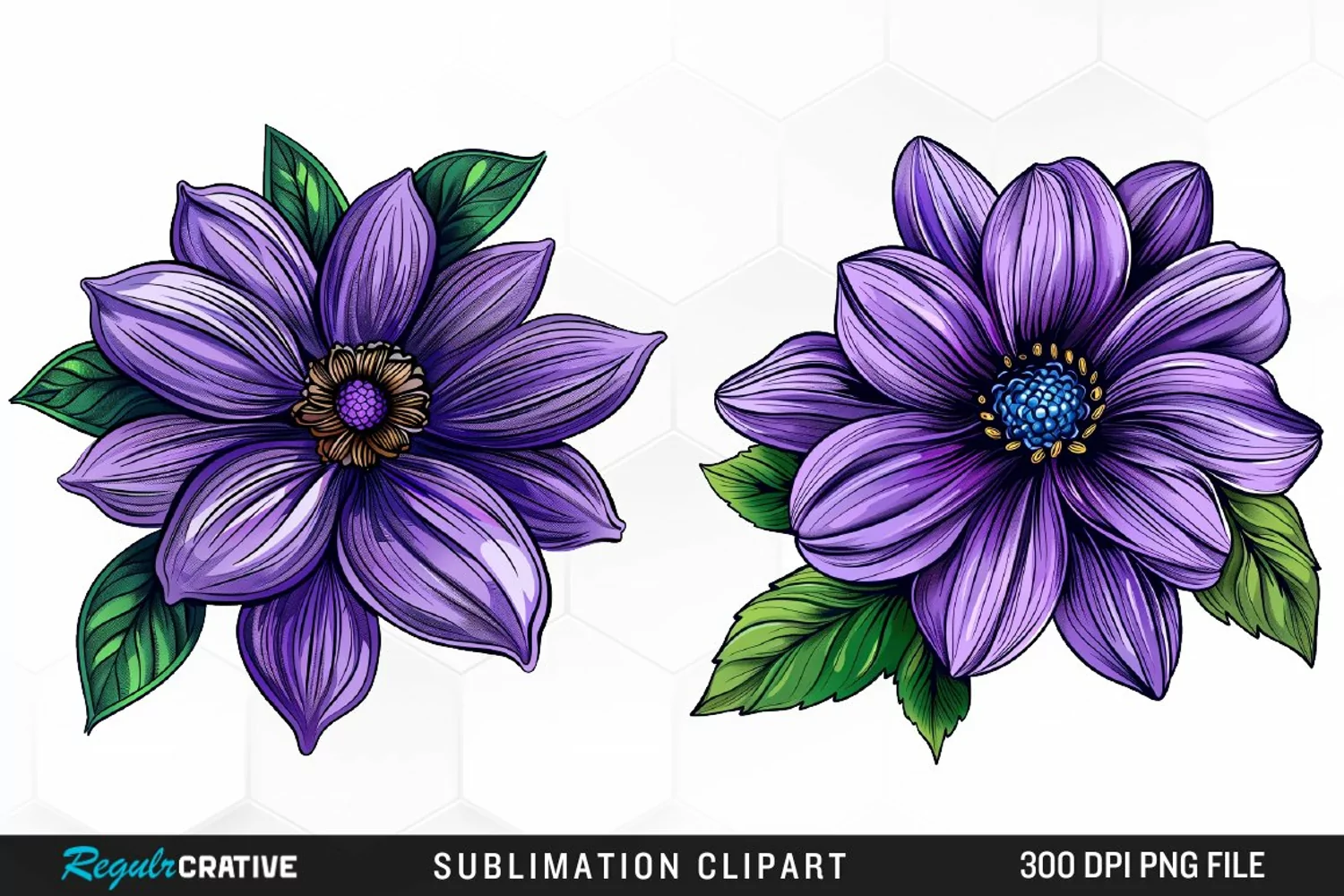 Watercolor Hibiscus Flowers Artwork Clipart product image 1