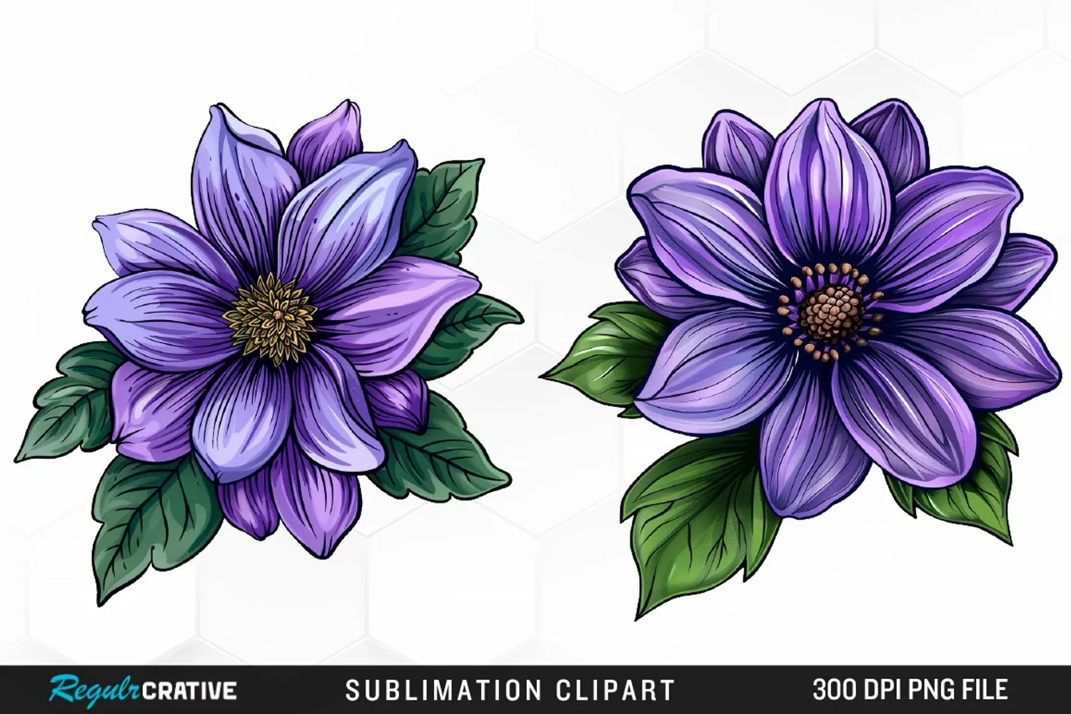 Watercolor Hibiscus Flowers Graphics Clipart product image 1