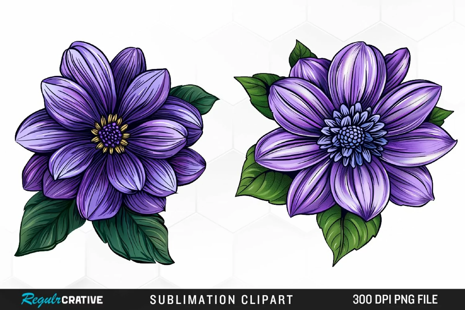 Watercolor Hibiscus Flowers Graphics Clipart product image 1