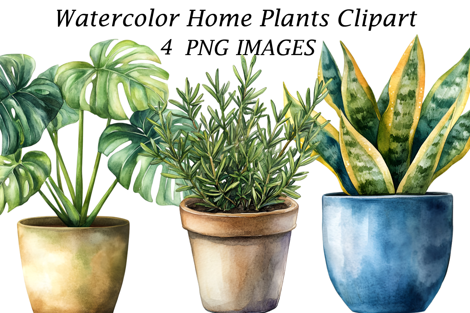 Watercolor Home Plants Clipart product image 1