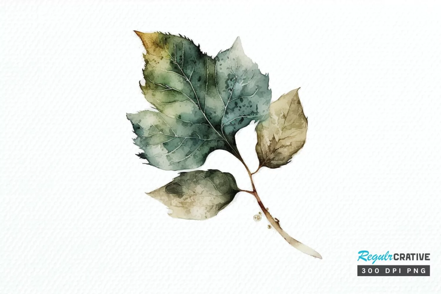 Watercolor Leave PNG Clipart product image 1