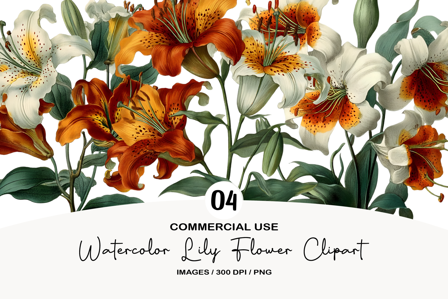 Watercolor Lily Flower Clipart product image 1