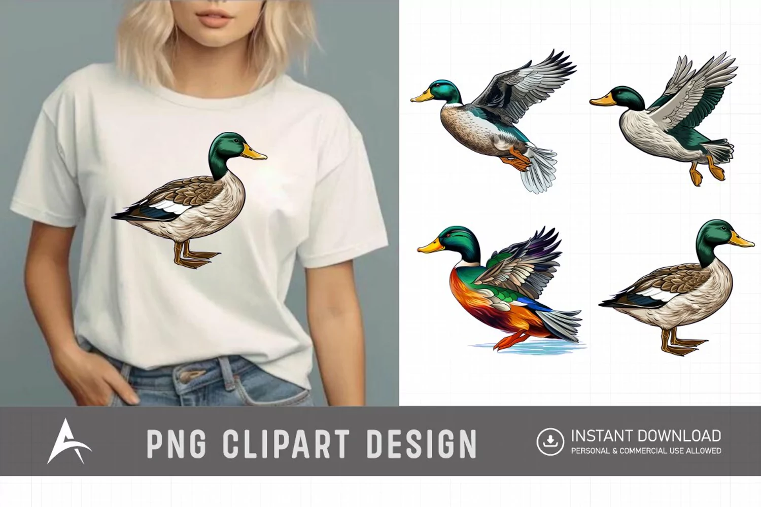 Watercolor Mallard Duck Clipart product image 1