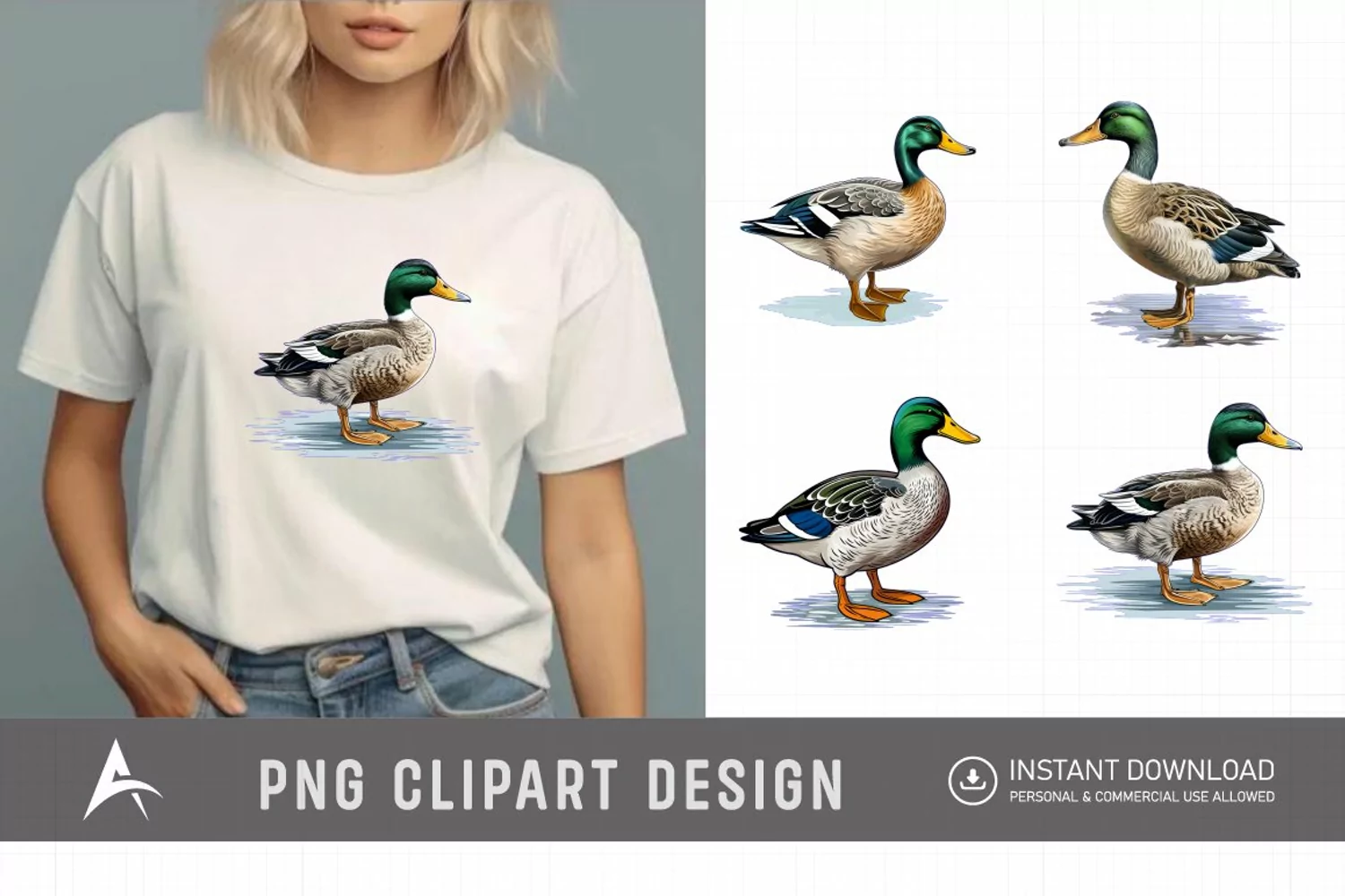 Watercolor Mallard Duck Clipart product image 1