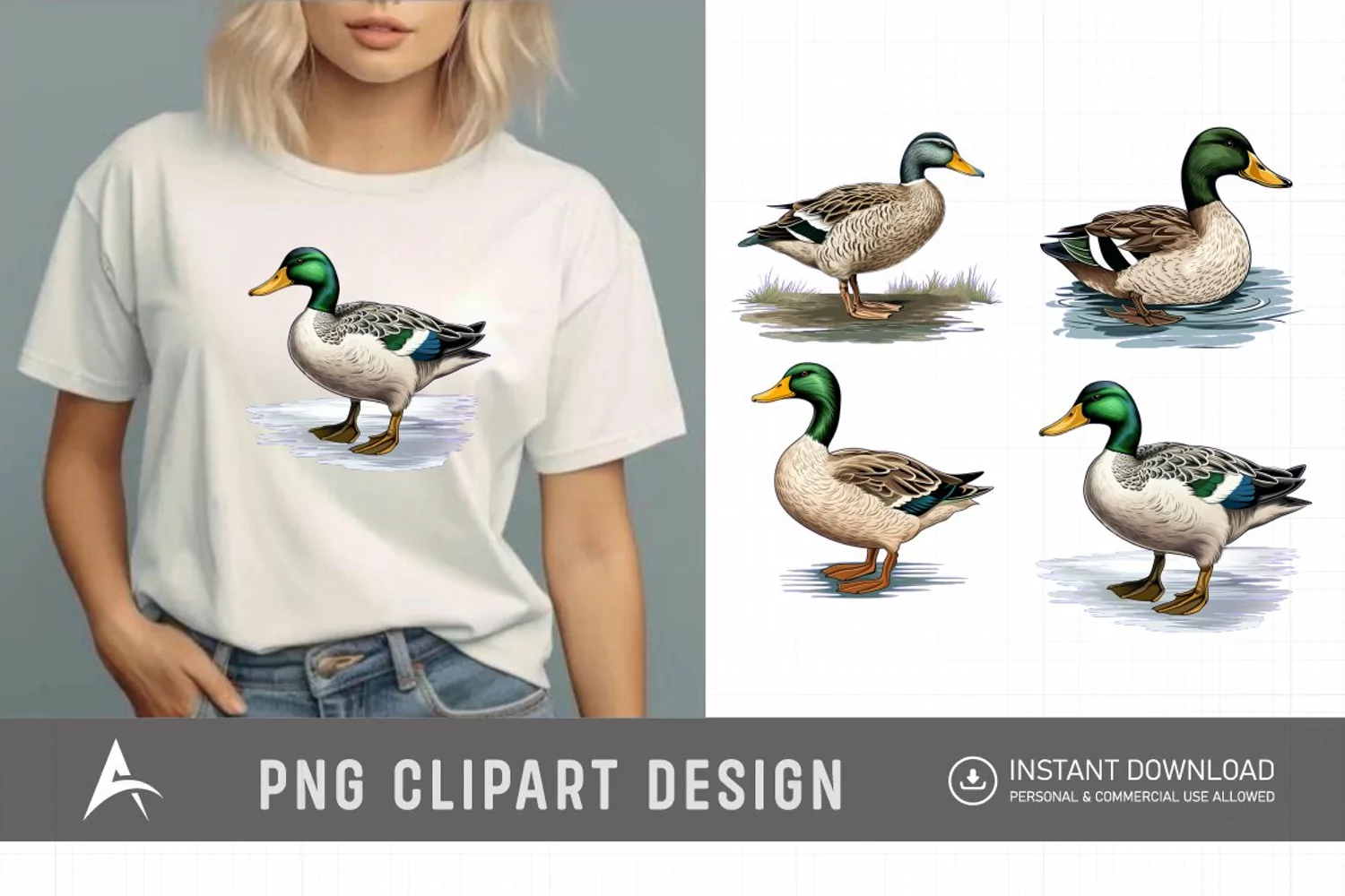 Watercolor Mallard Duck Clipart product image 1