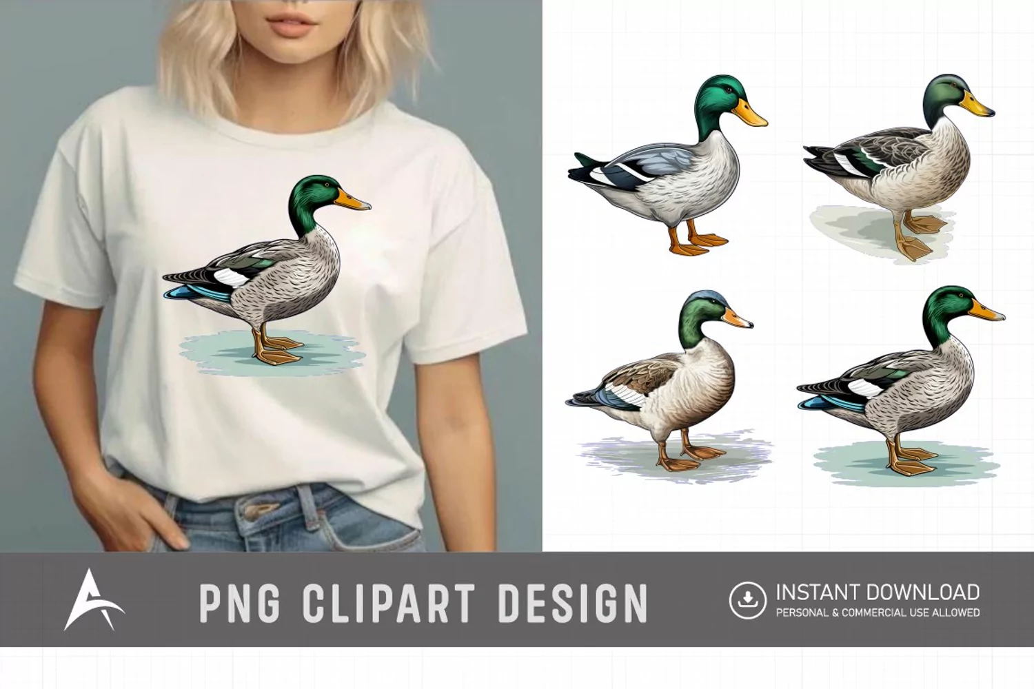 Watercolor Mallard Duck Clipart product image 1