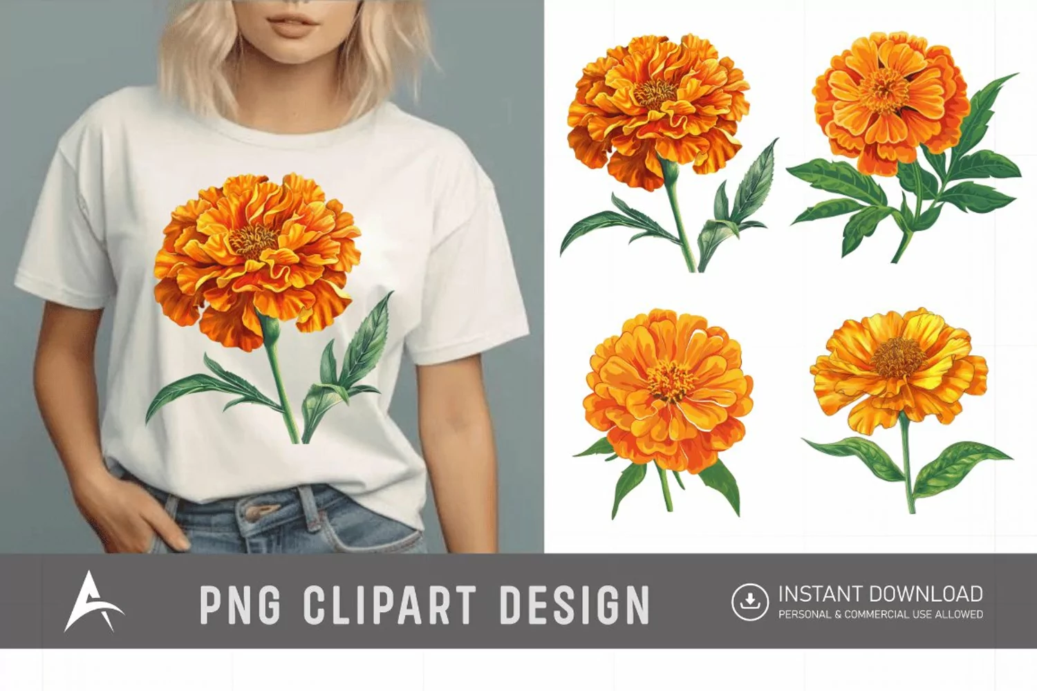 Watercolor Marigold Flower Clipart product image 1