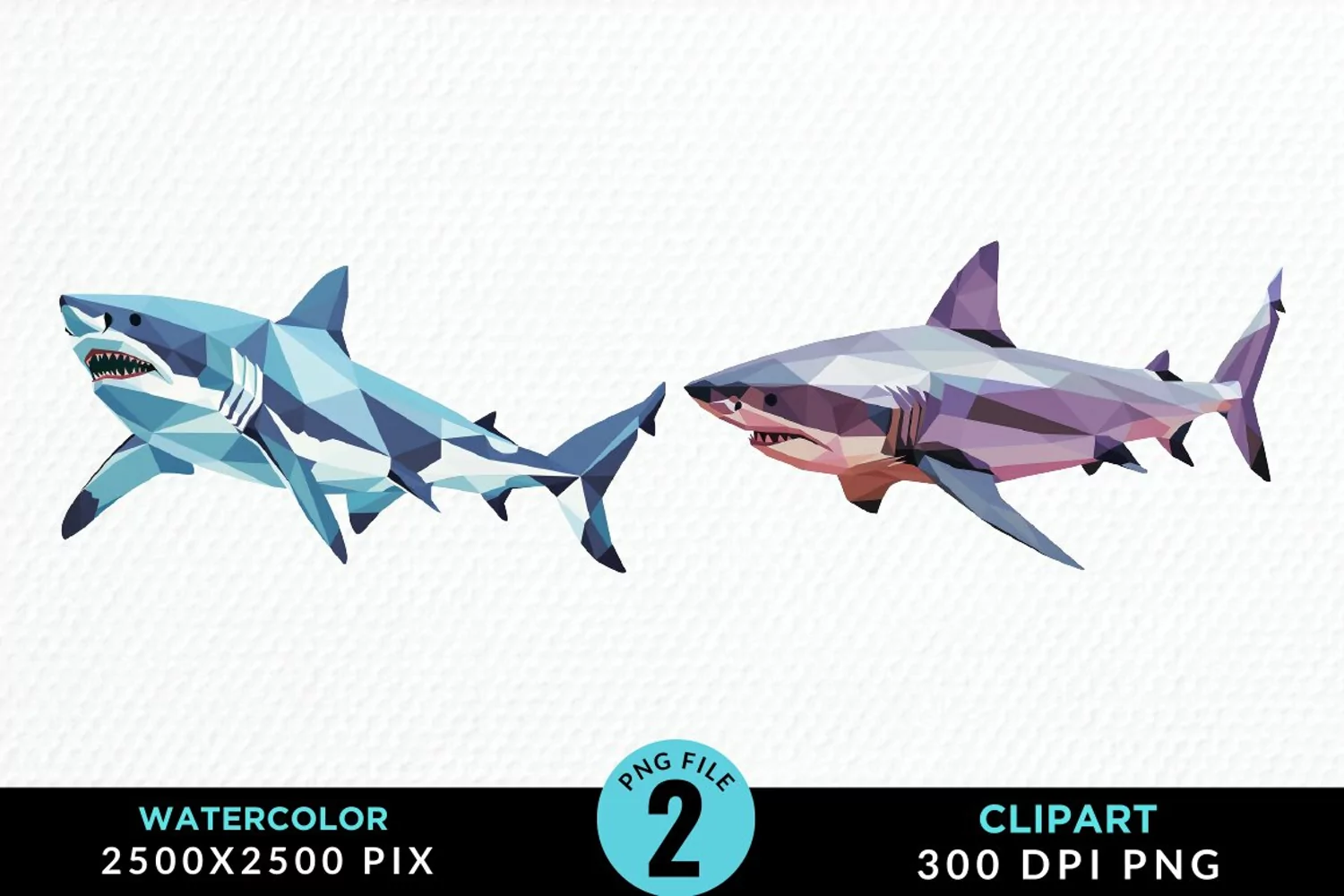 Watercolor Marine Mammals Whale Clipart product image 1