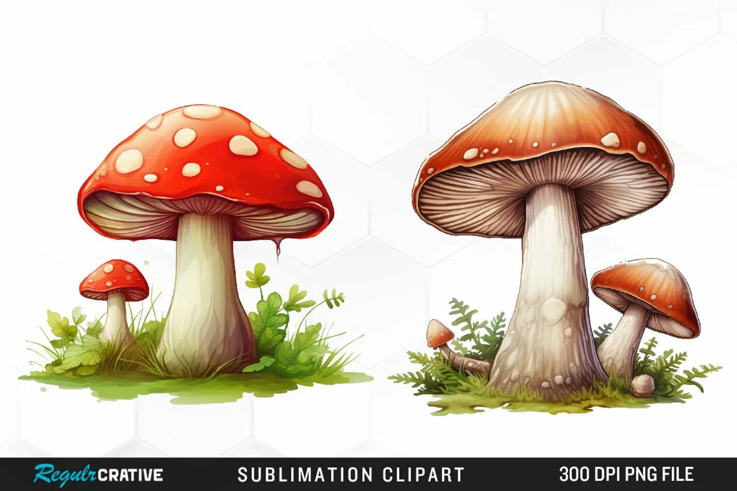 Watercolor Mushroom Clipart product image 1