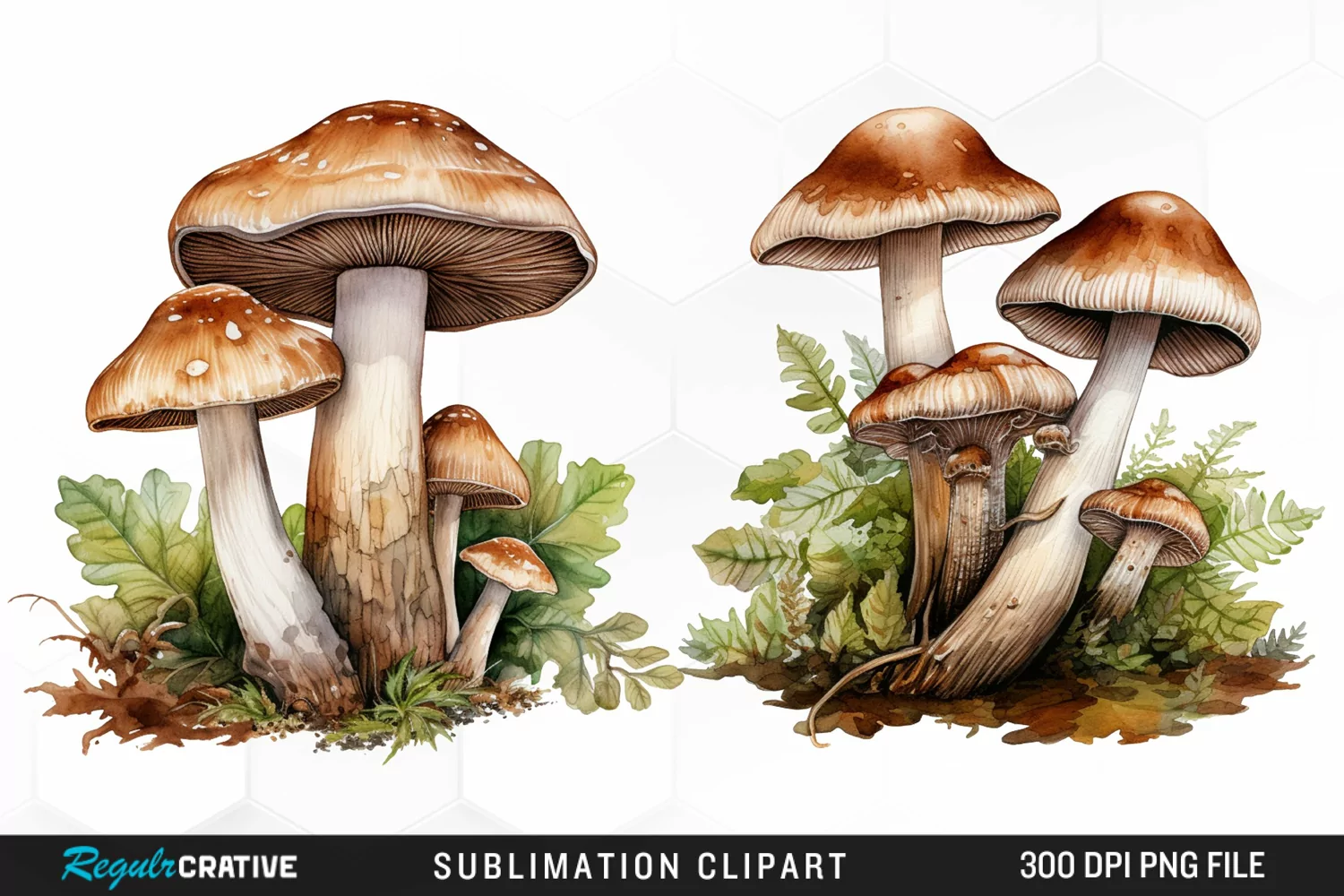 Watercolor Mushrooms Graphics Clipart product image 1