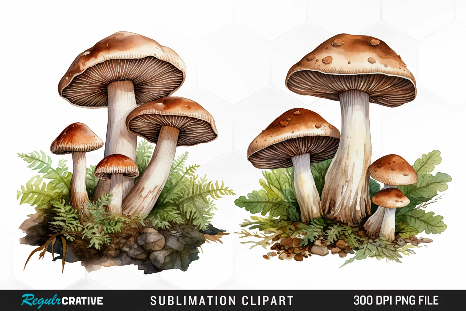 Watercolor Mushrooms Graphics Clipart product image 1