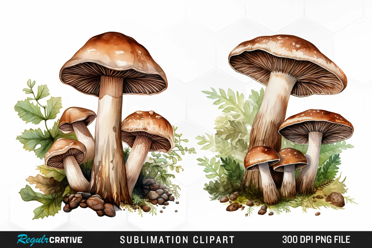 Watercolor Mushrooms Graphics Clipart product image 1