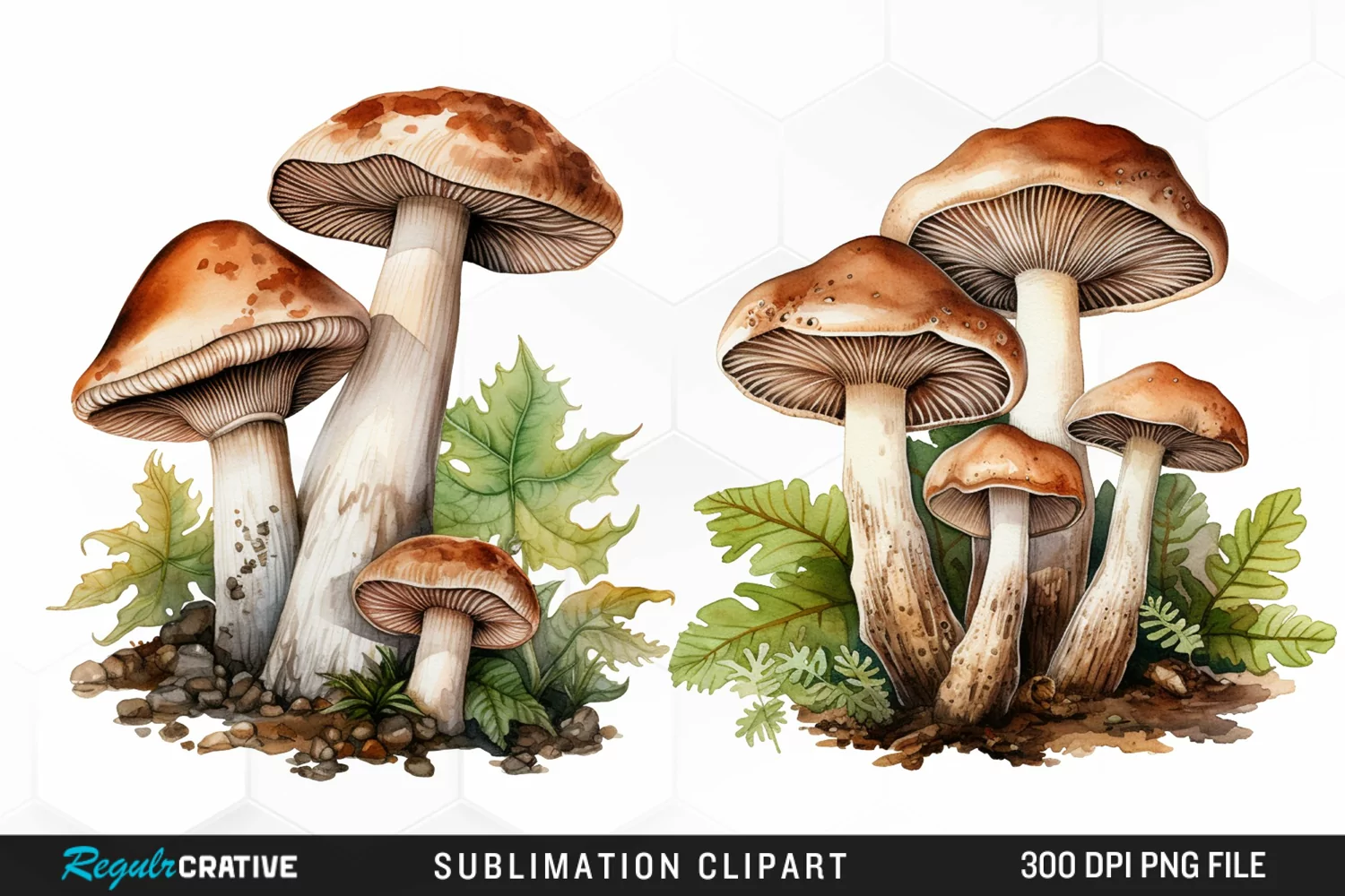 Watercolor Mushrooms Graphics Clipart product image 1
