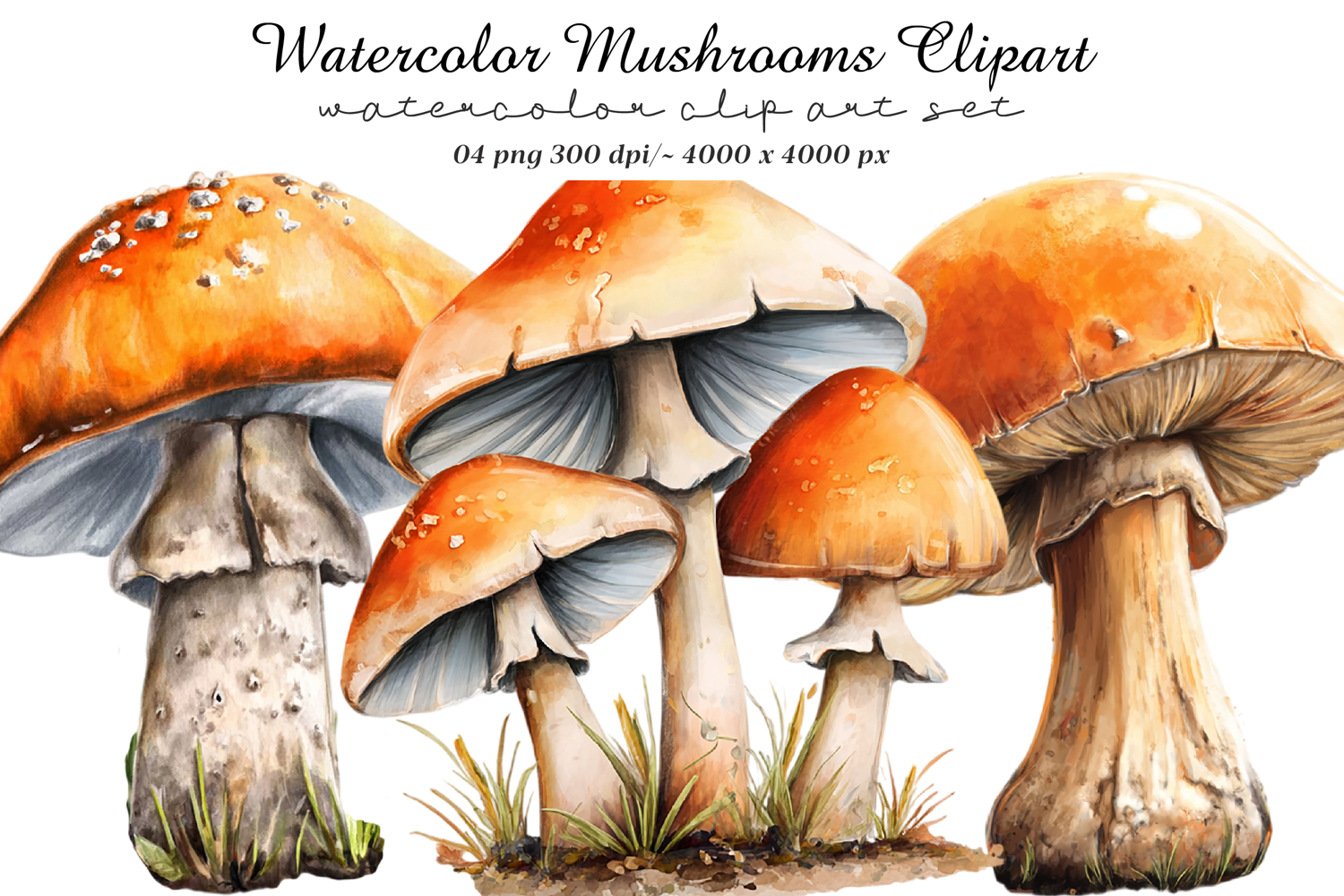Watercolor Mushrooms Clipart product image 1