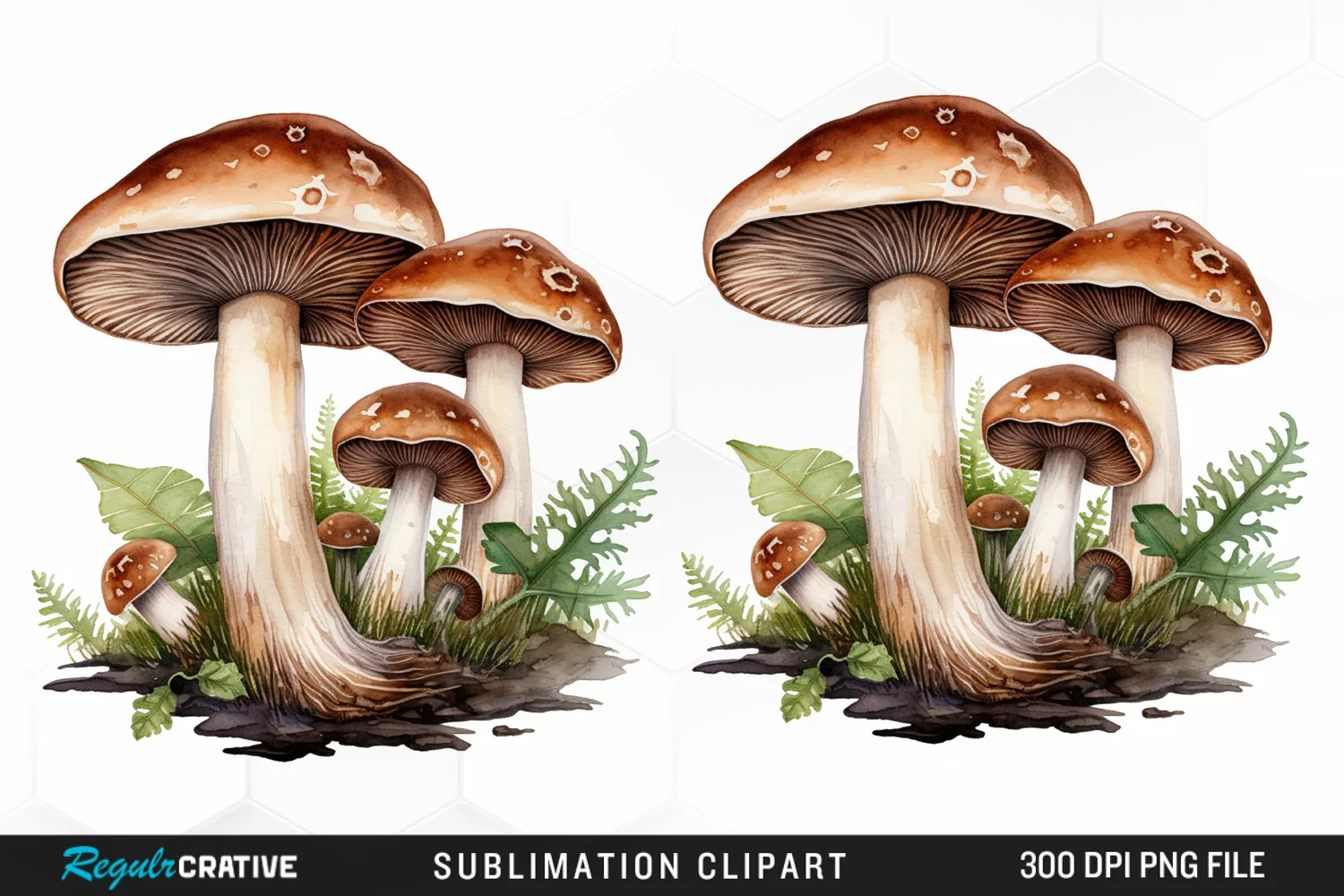 Watercolor Mushrooms Graphics Clipart product image 1