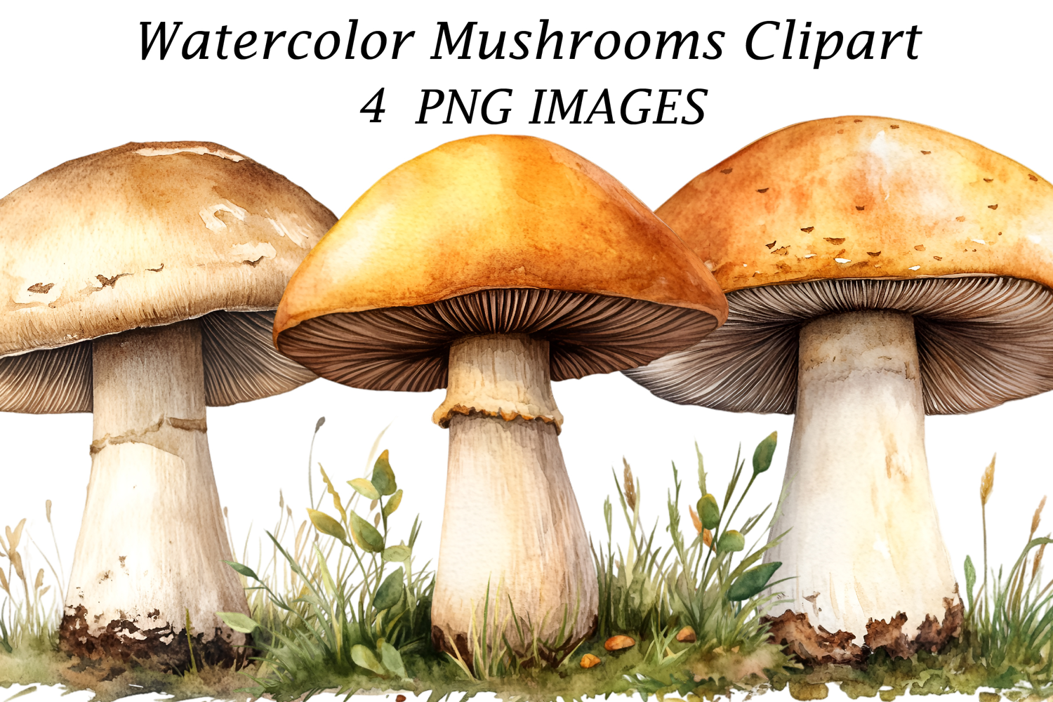 Watercolor Mushrooms Clipart product image 1
