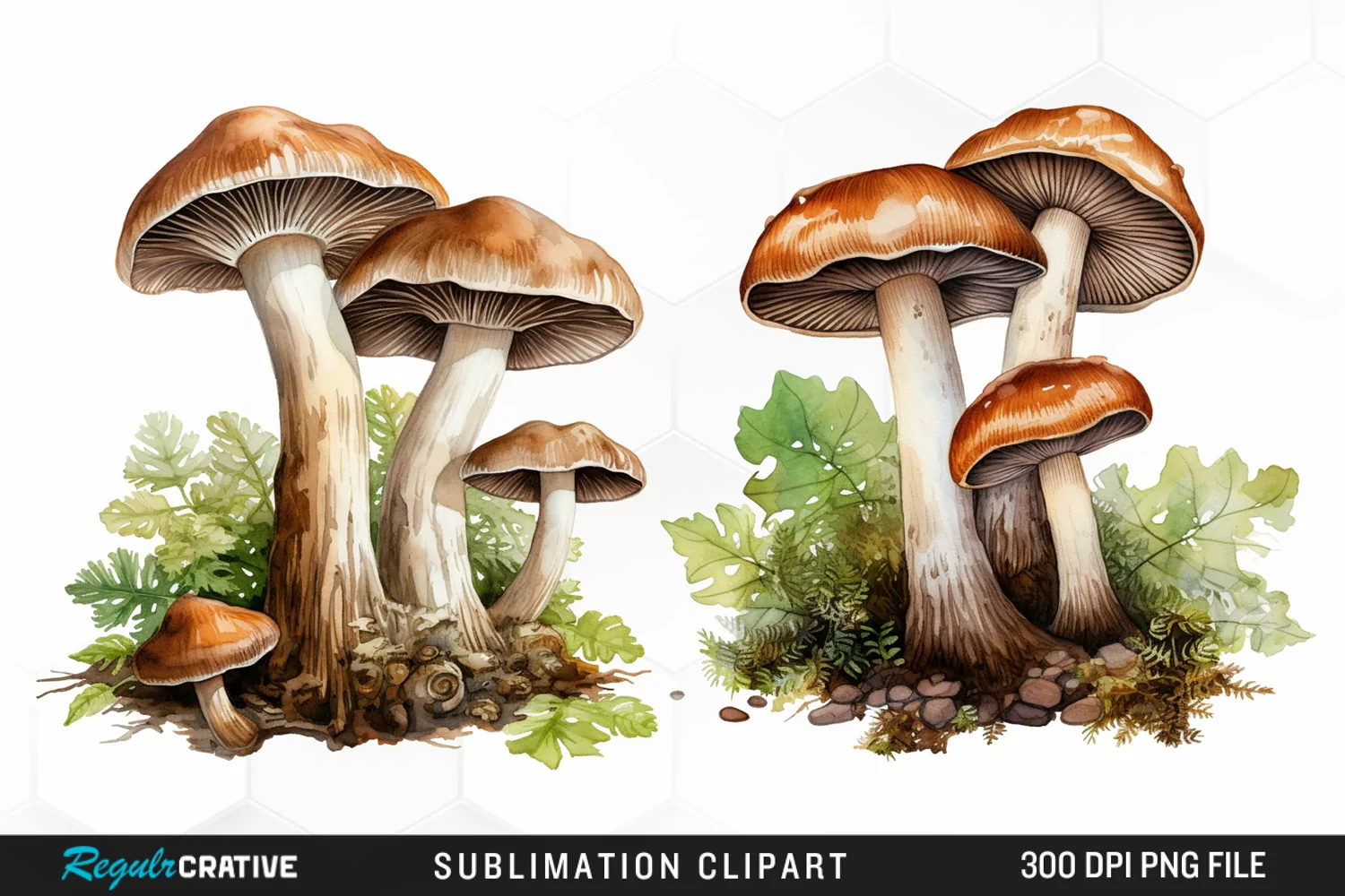 Watercolor Mushrooms Graphics Clipart product image 1