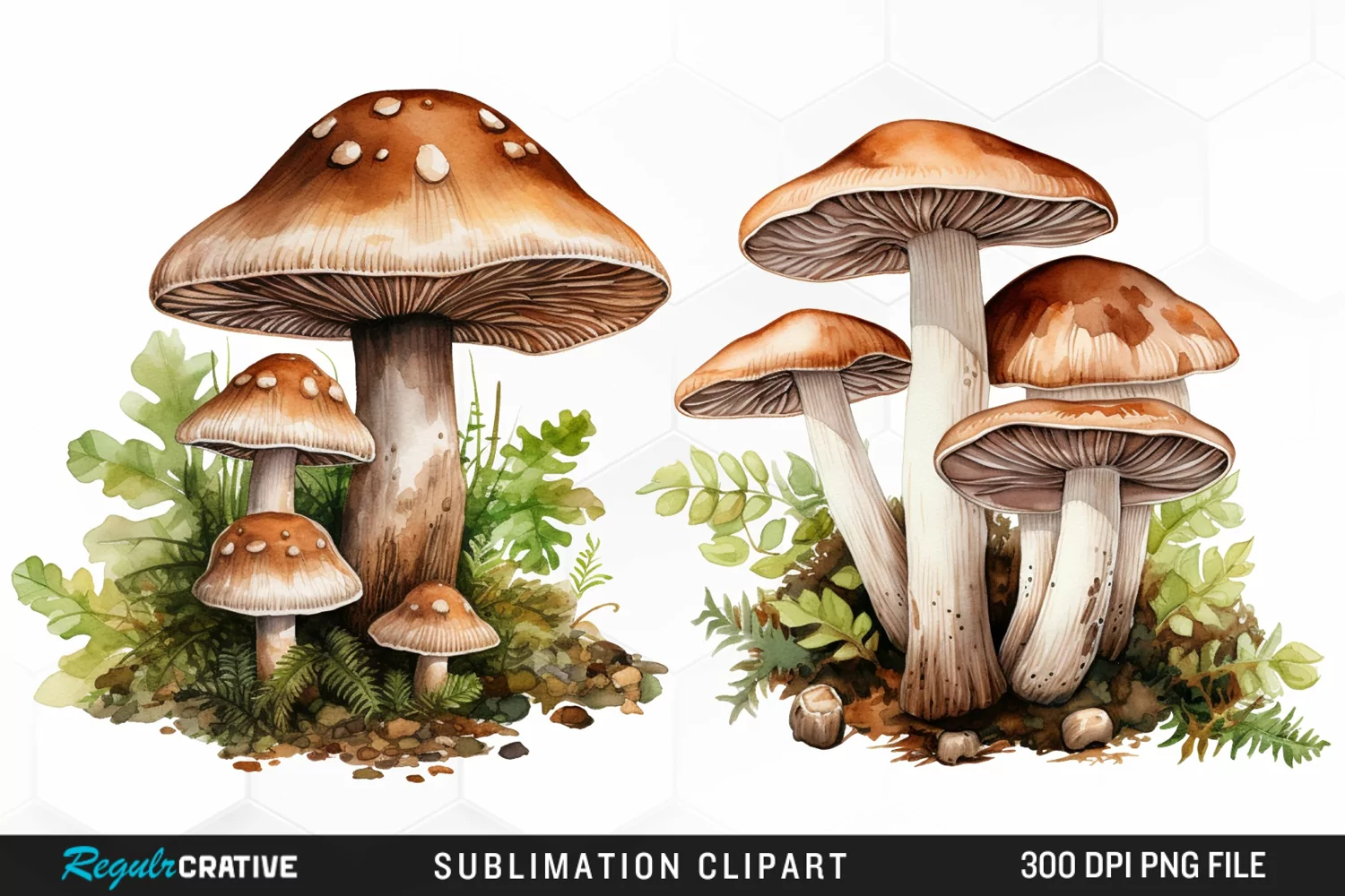 Watercolor Mushrooms Graphics Clipart product image 1